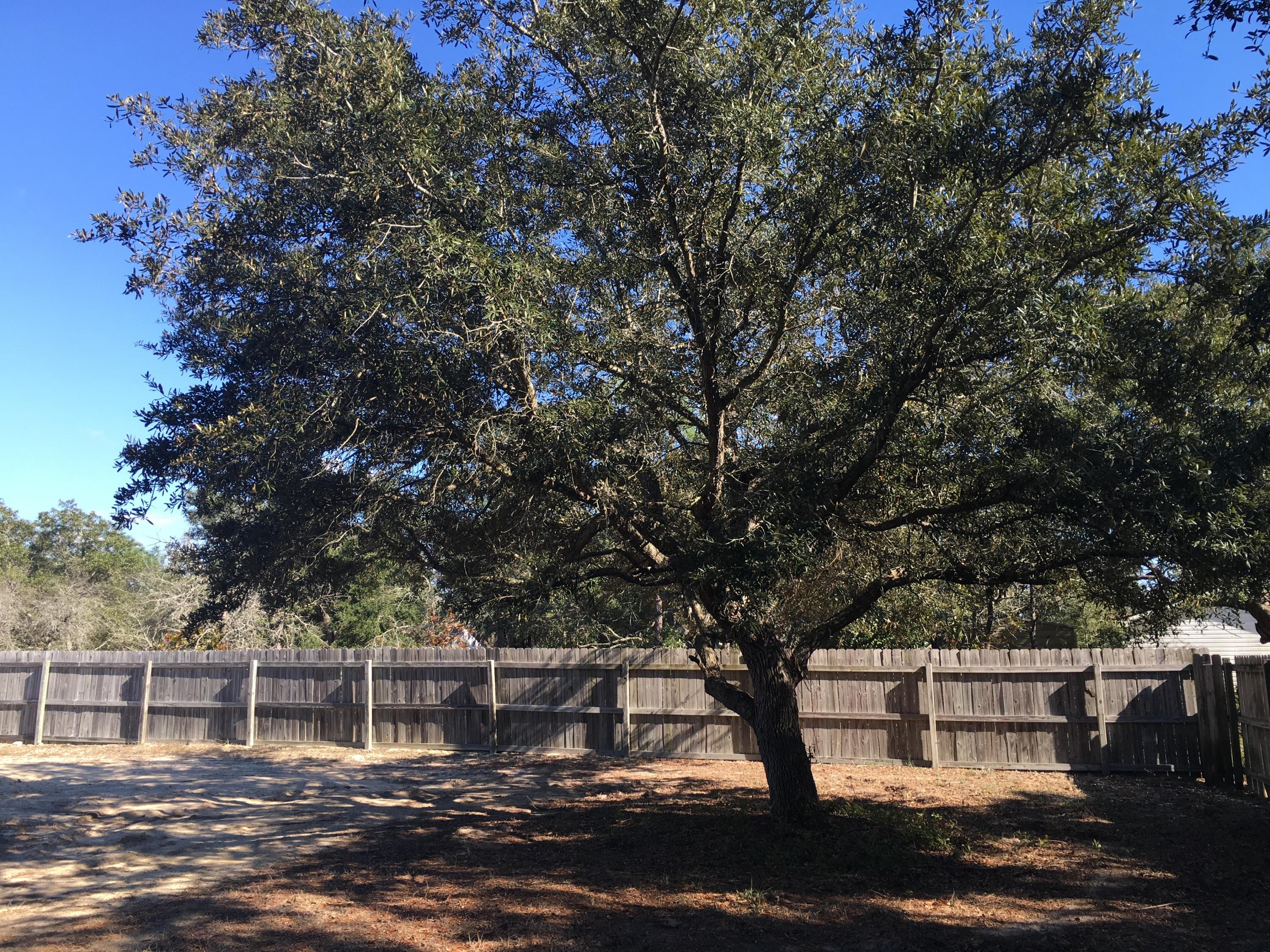 Leonne - Residential