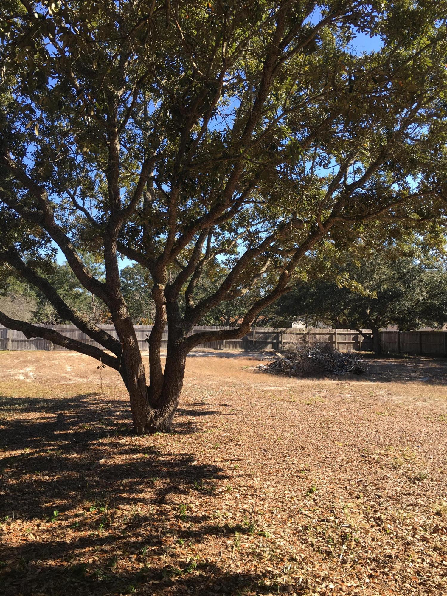 Leonne - Residential