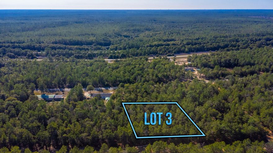 This lot is very nice! It is approximately 200 feet wide and 215 feet deep (estimates only). Great location to build a home or install a mobile home. The 1 acre lot next to this one is also listed and available to purchase. Public Water is available through Mossy Head Water works, however, the water are not currenlty ran down this road. Survey done by the seller.