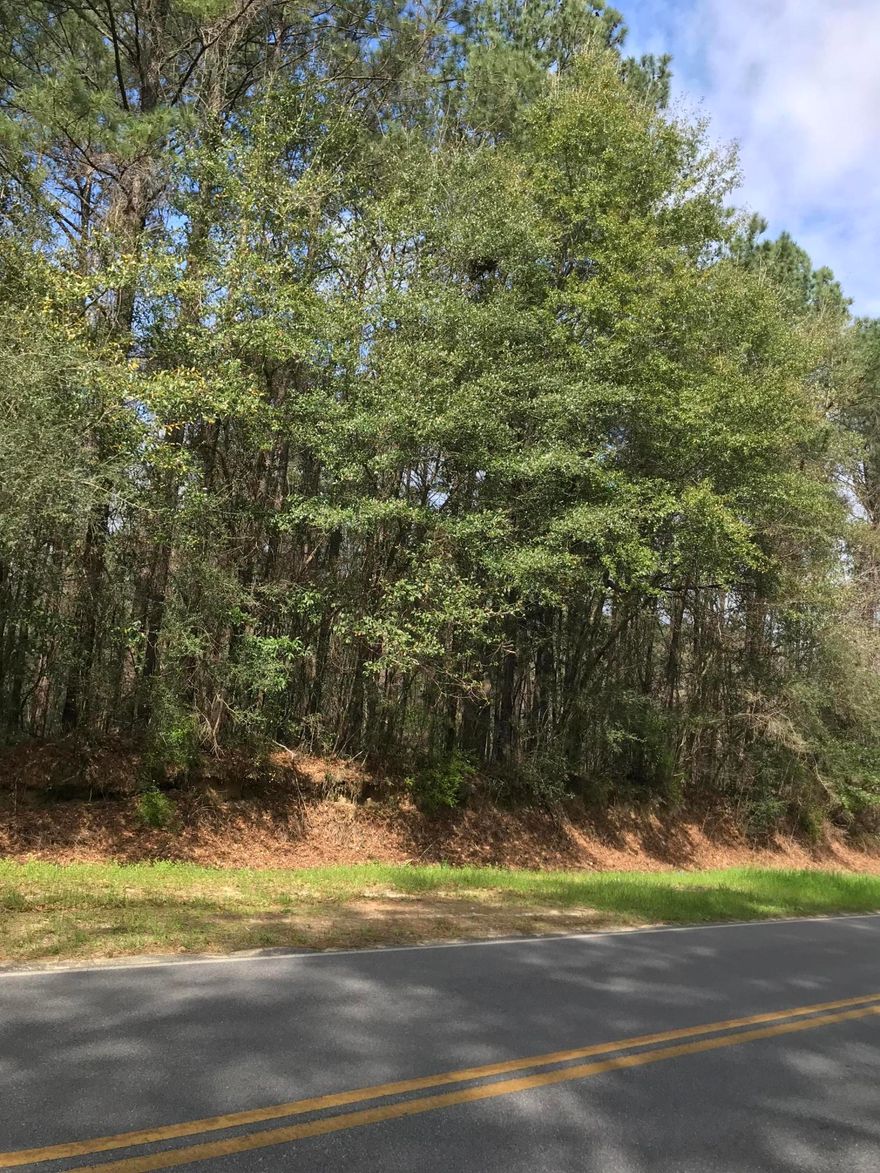 Nice partially wooded piece of property in north Walton County is close to the community of Darlington. Over 900' of road frontage on Otter Pond Road. This would make an awesome homesite. An abundance of wildlife abounds. If you're into hunting, it would be fantastic for hunting deer, wild turkey...whatever you choose. There is a deer stand already in place. There's a very small pond on the property just off the highway in the wooded area. Other than the pond, there are no wet areas on this property. Just 15 minutes from downtown, historic DeFuniak Springs.