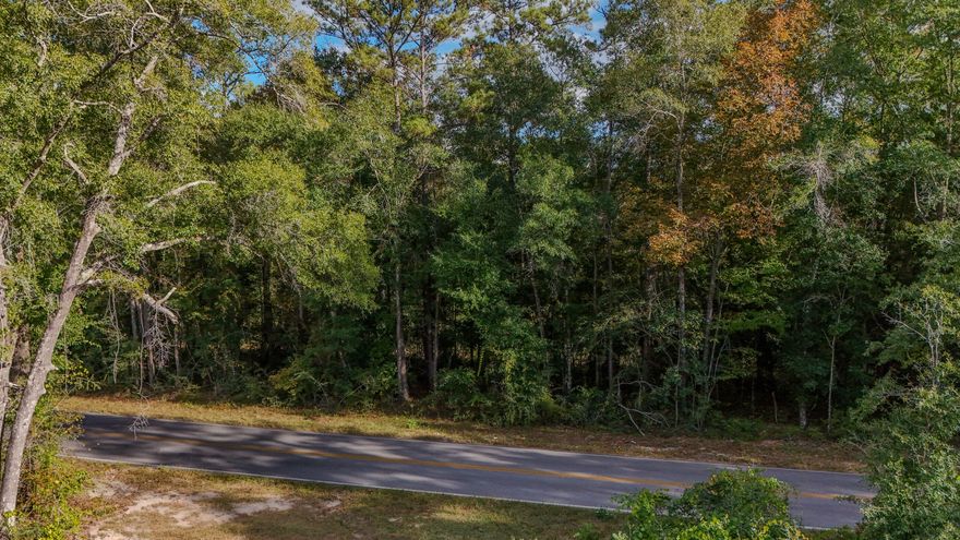 This wooded 1.25-acre lot sits in the highly sought after Pleasant Ridge area off Bob Sikes Rd - a fantastic location about 3 miles from Hwy 331, giving you an easy connection to the beaches only 30 minutes away, as well as a 5 minute drive to downtown historic DeFuniak Springs.  The land provides a natural setting with plenty of room for your new build or manufactured home. Electric is available at the road with well and septic required.