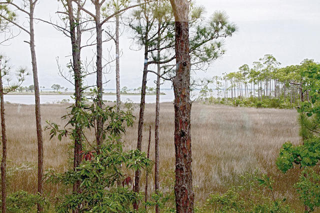 HERON WALK PH 3 - Residential