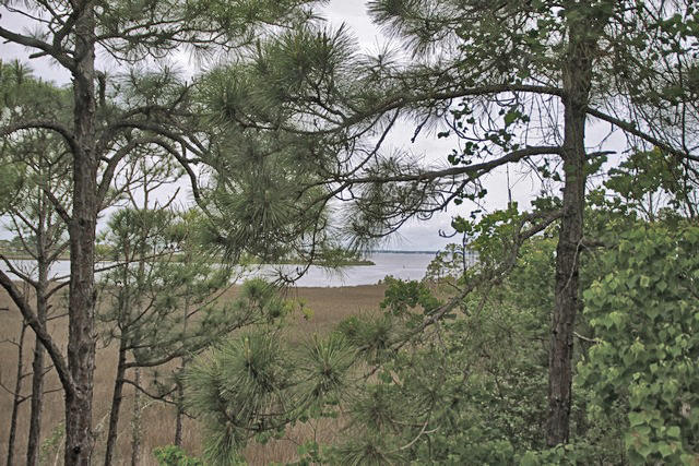 HERON WALK PH 3 - Residential