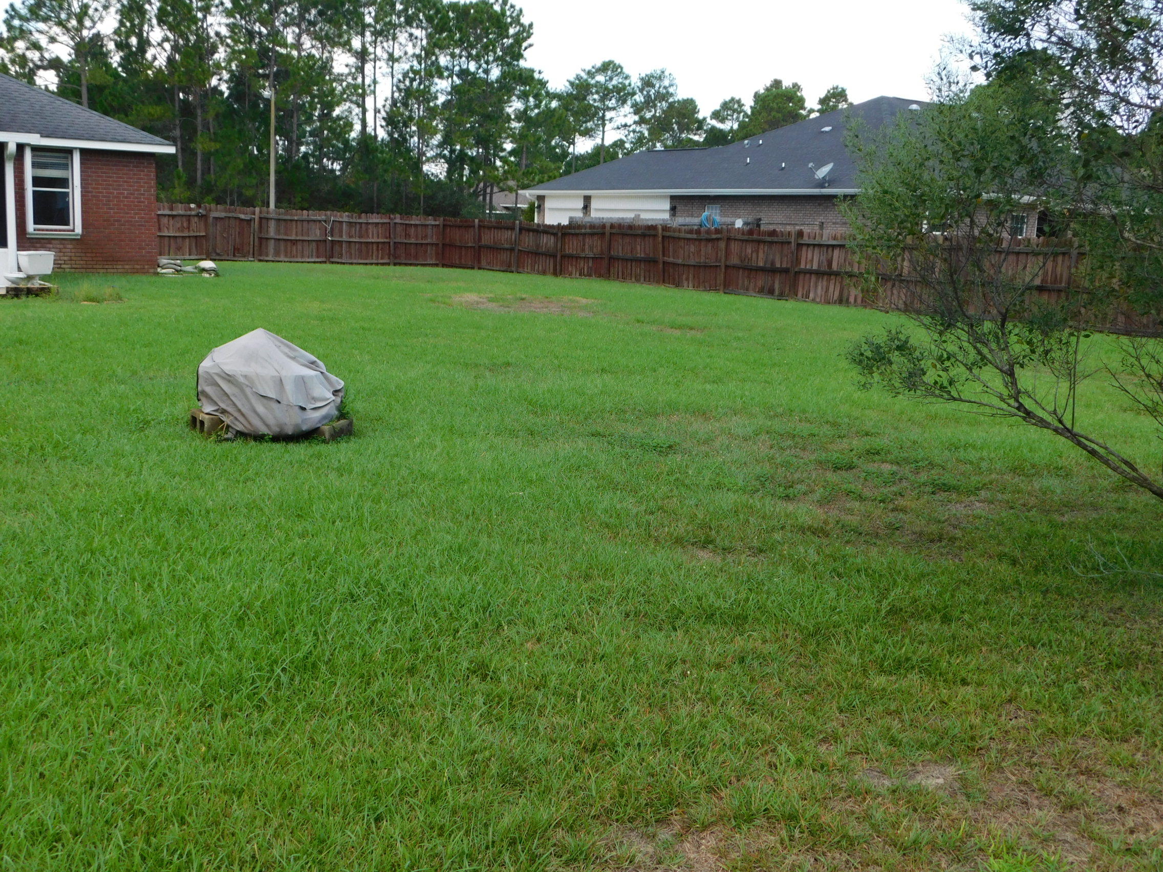 HOLLEY BY THE SEA - Residential