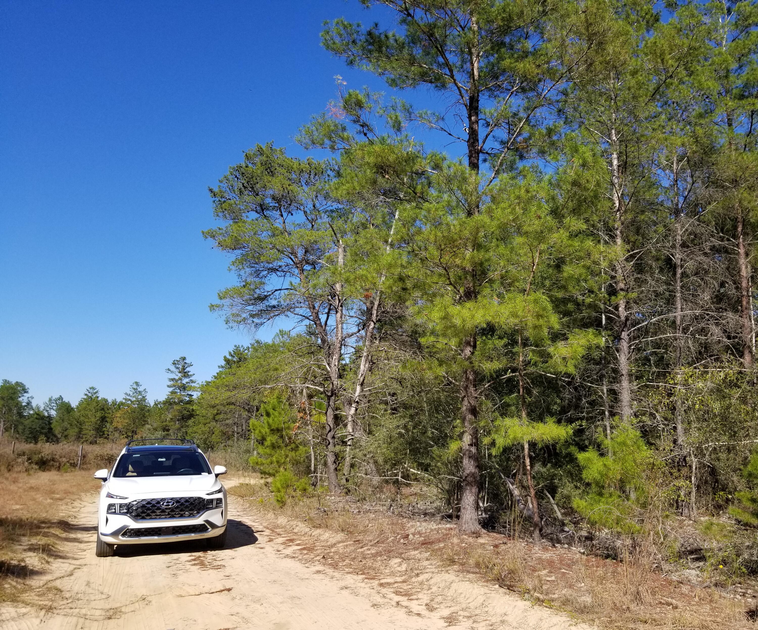 BELLE HIGHLAND ESTATES 1ST ADDN - Land