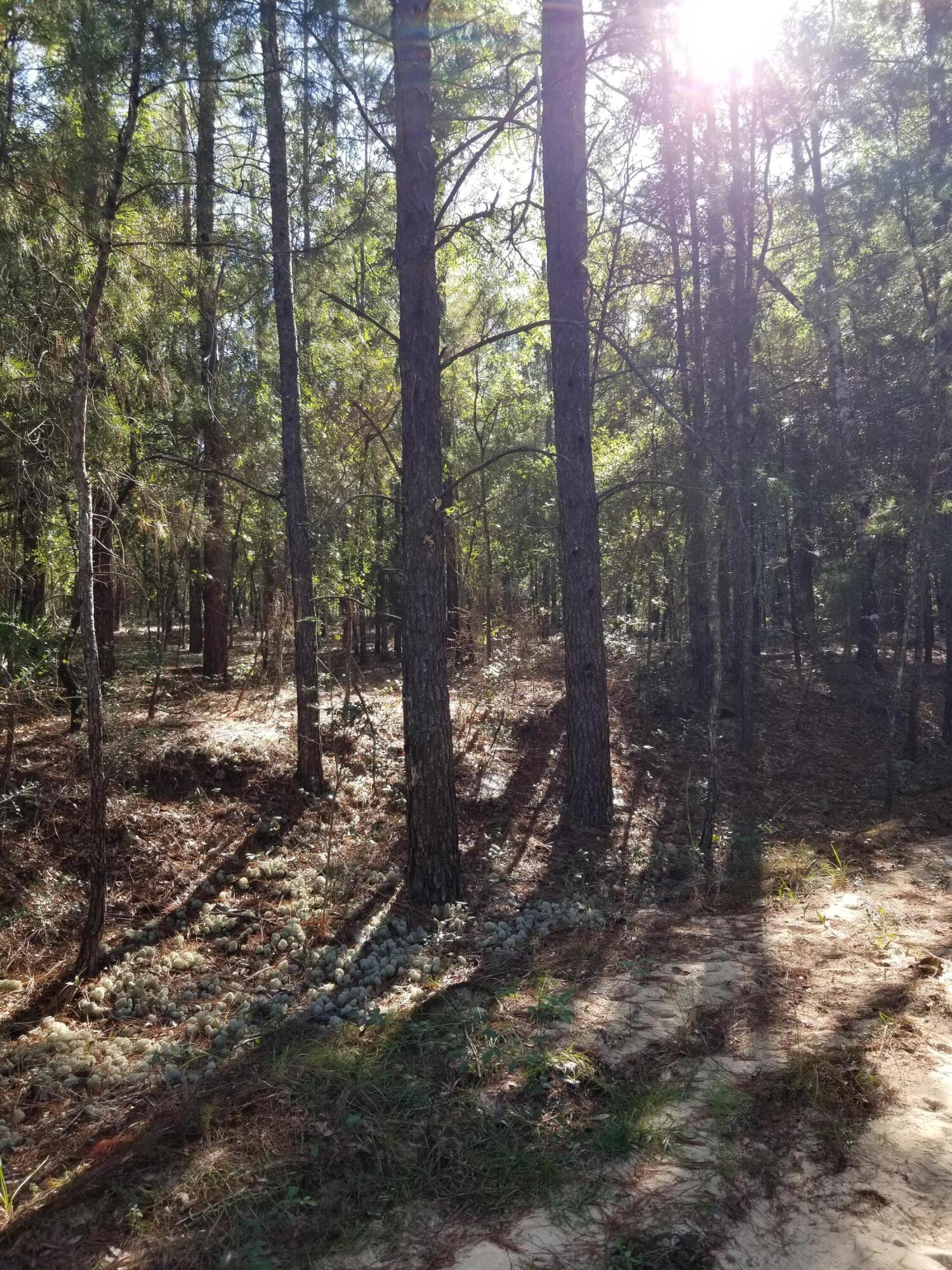 BELLE HIGHLAND ESTATES 1ST ADDN - Land