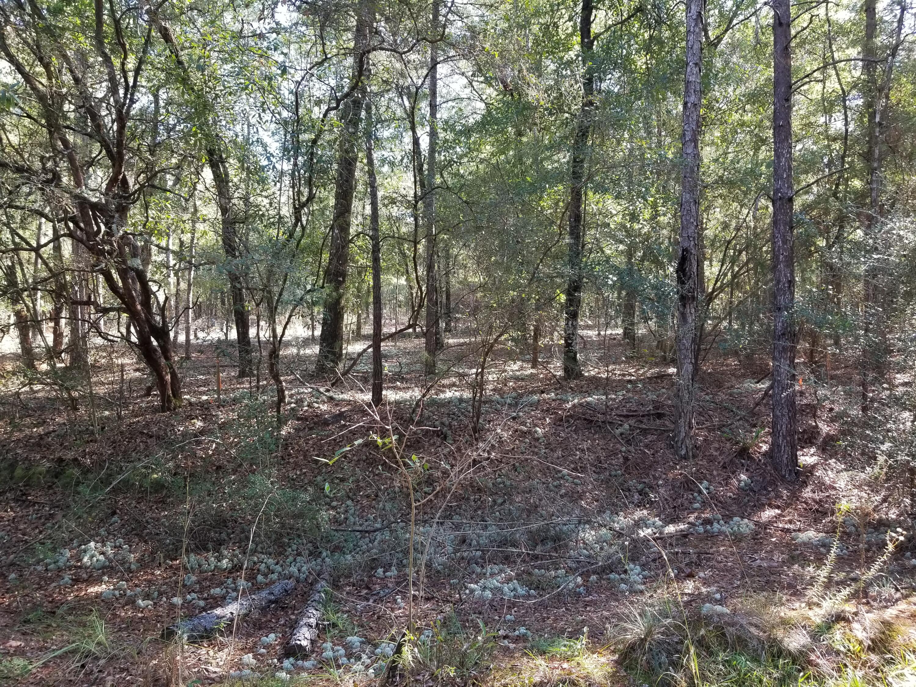 BELLE HIGHLAND ESTATES 1ST ADDN - Land