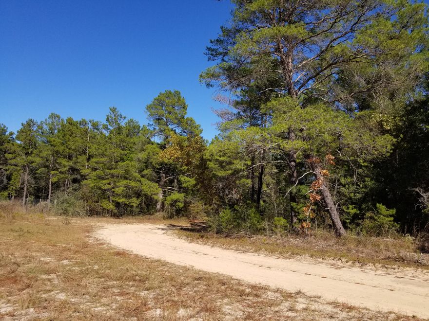Very nice, wooded, corner building lot for your future home.  Utilitities are near.  Owners have access to the association owned lakes.  There is a owners association and annual dues set by the association Board of Directors.  2024 dues were $15 per acre per year or $35.70.Owners are both licensed RE Brokers