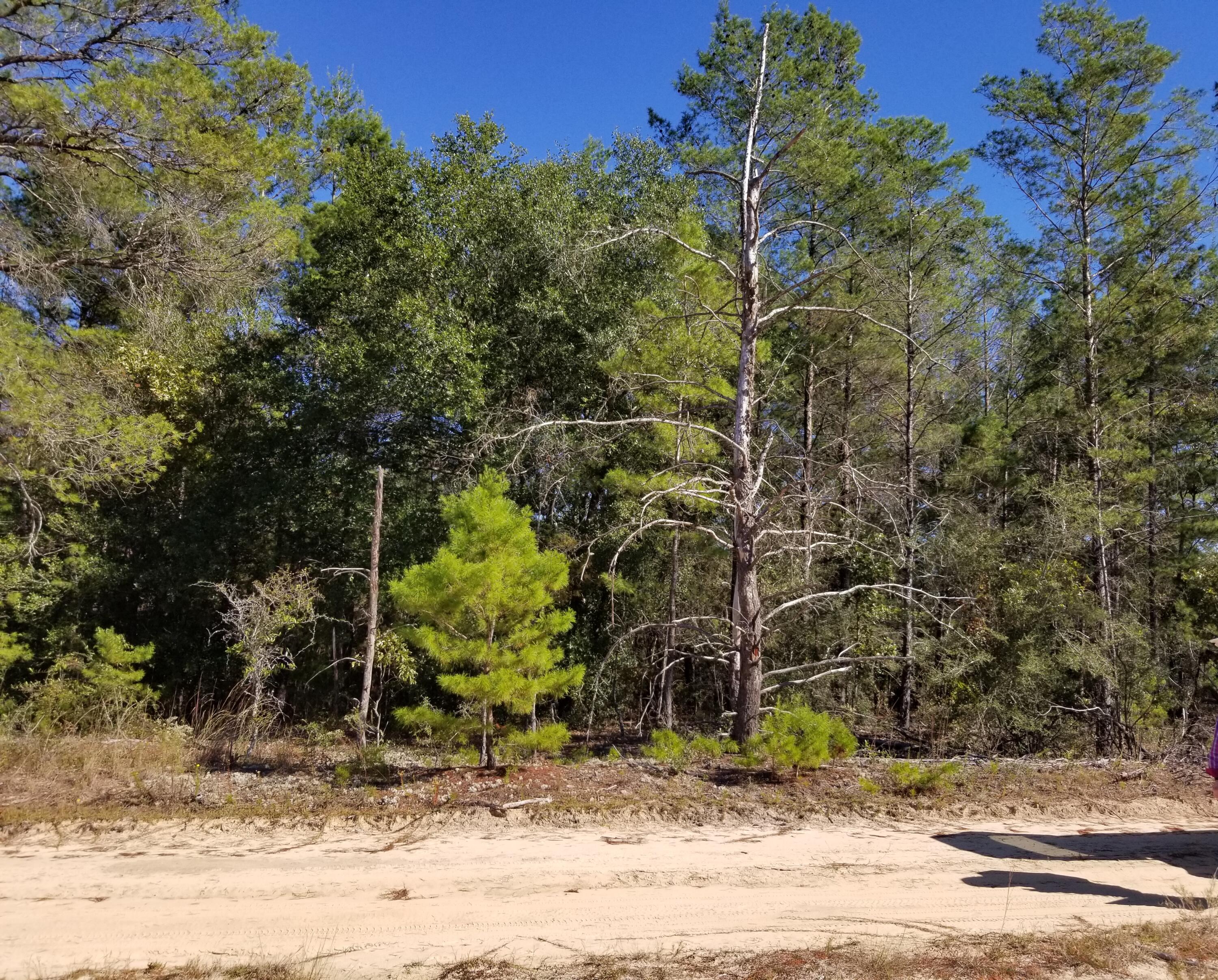 BELLE HIGHLAND ESTATES 1ST ADDN - Land