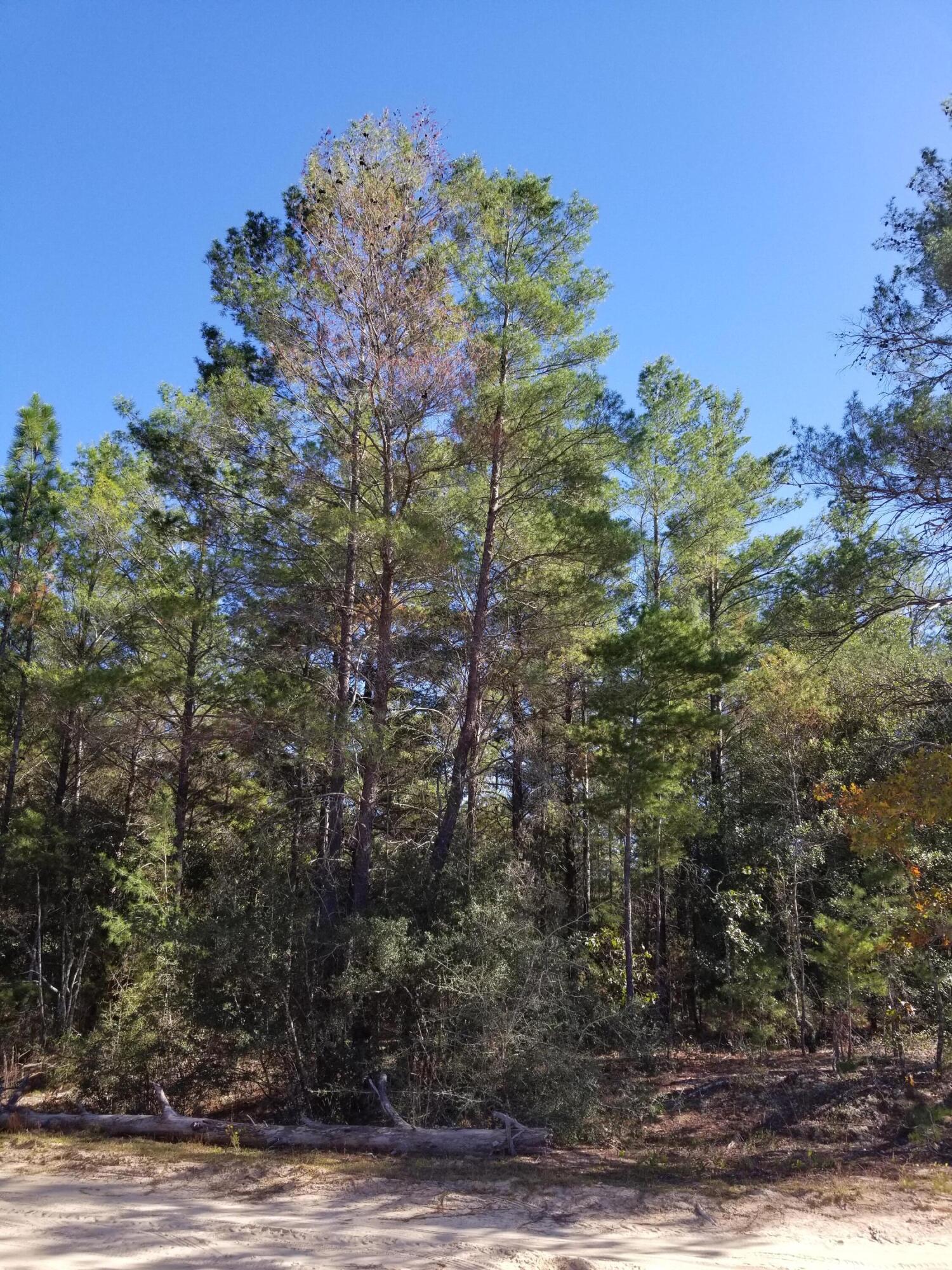 BELLE HIGHLAND ESTATES 1ST ADDN - Land