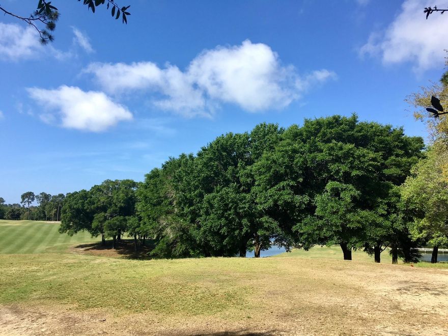 What a view! This rare opportunity for a vacant lot overlooking the RBCC #10 hole, the gorgeous lakes, and majestic oaks does not come around often. A spacious 0.89 acre lot provides ample room to build a custom home to take full advantage of the beautiful scenery.
Property is on Rocky Bayou Country Club Golf Course, and memberships are available to take advantage of the clubhouse, golf and the pool.
