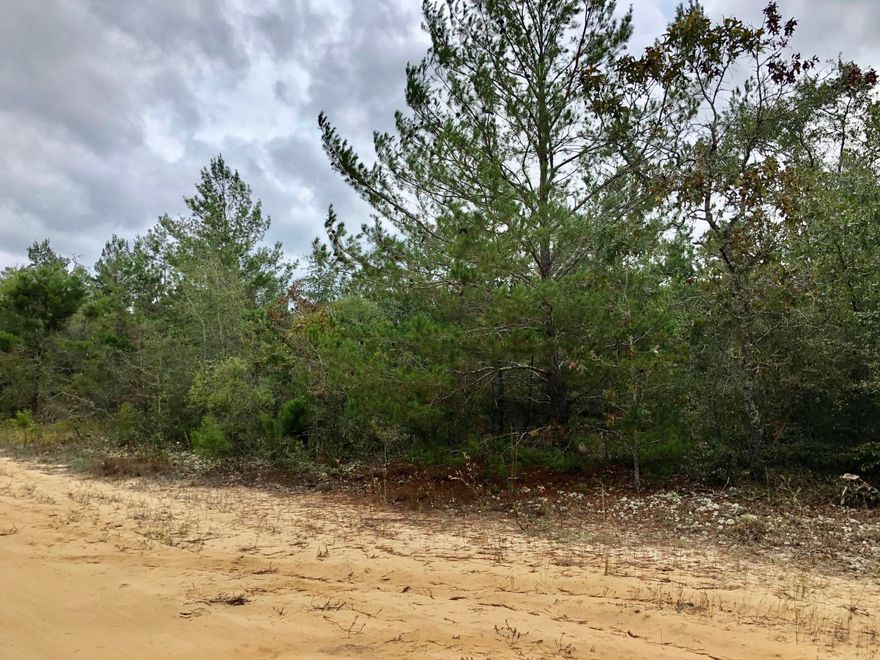 1 acre wooded lot North of Defuniak springs. Perfect spot for building your new home or new manufactured home. New parcel ID will need to be established. Lot has been surveyed. Lot sold as is. Buyer to perform all due-diligence.