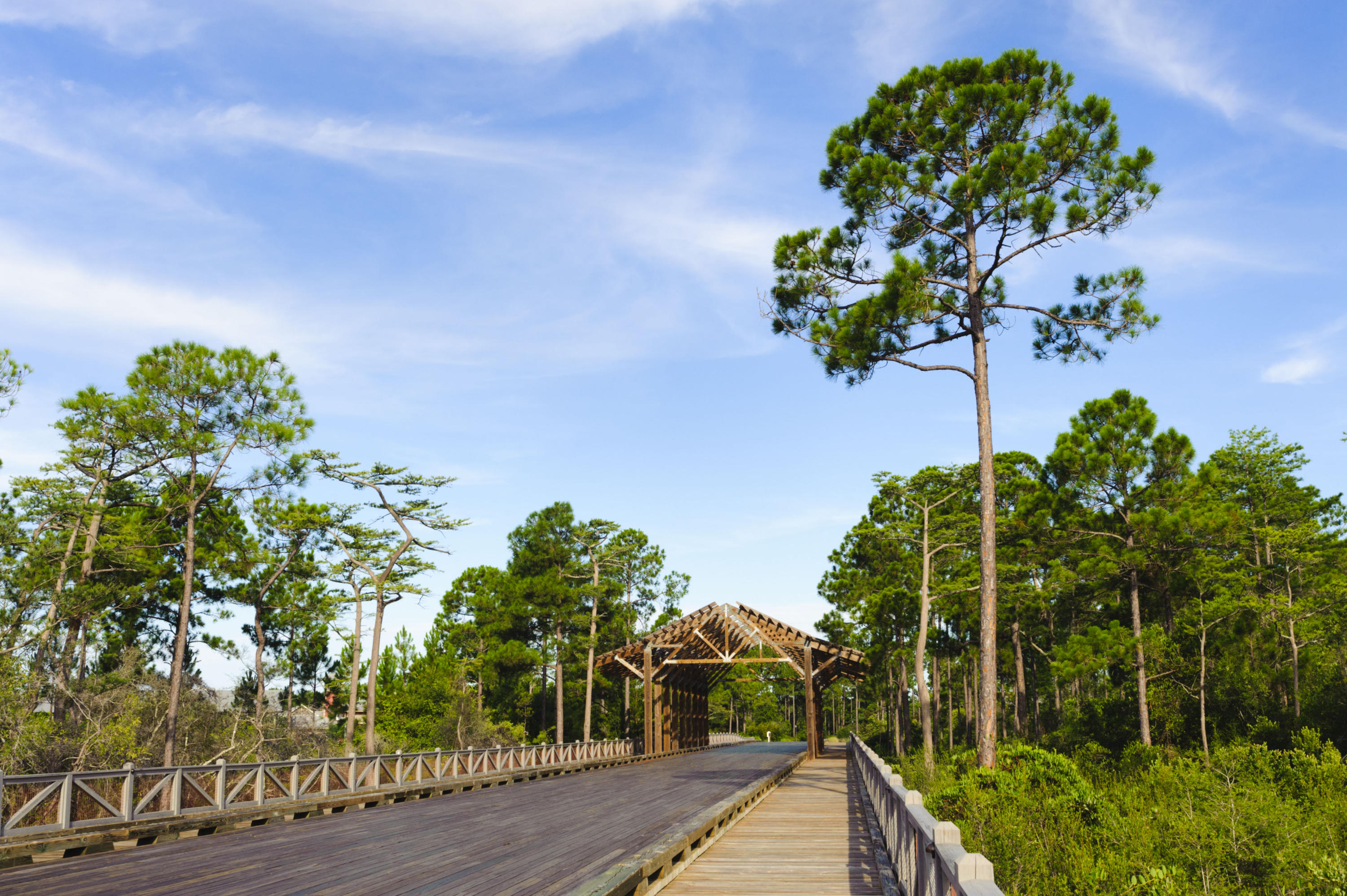 NatureWalk at Seagrove - Residential