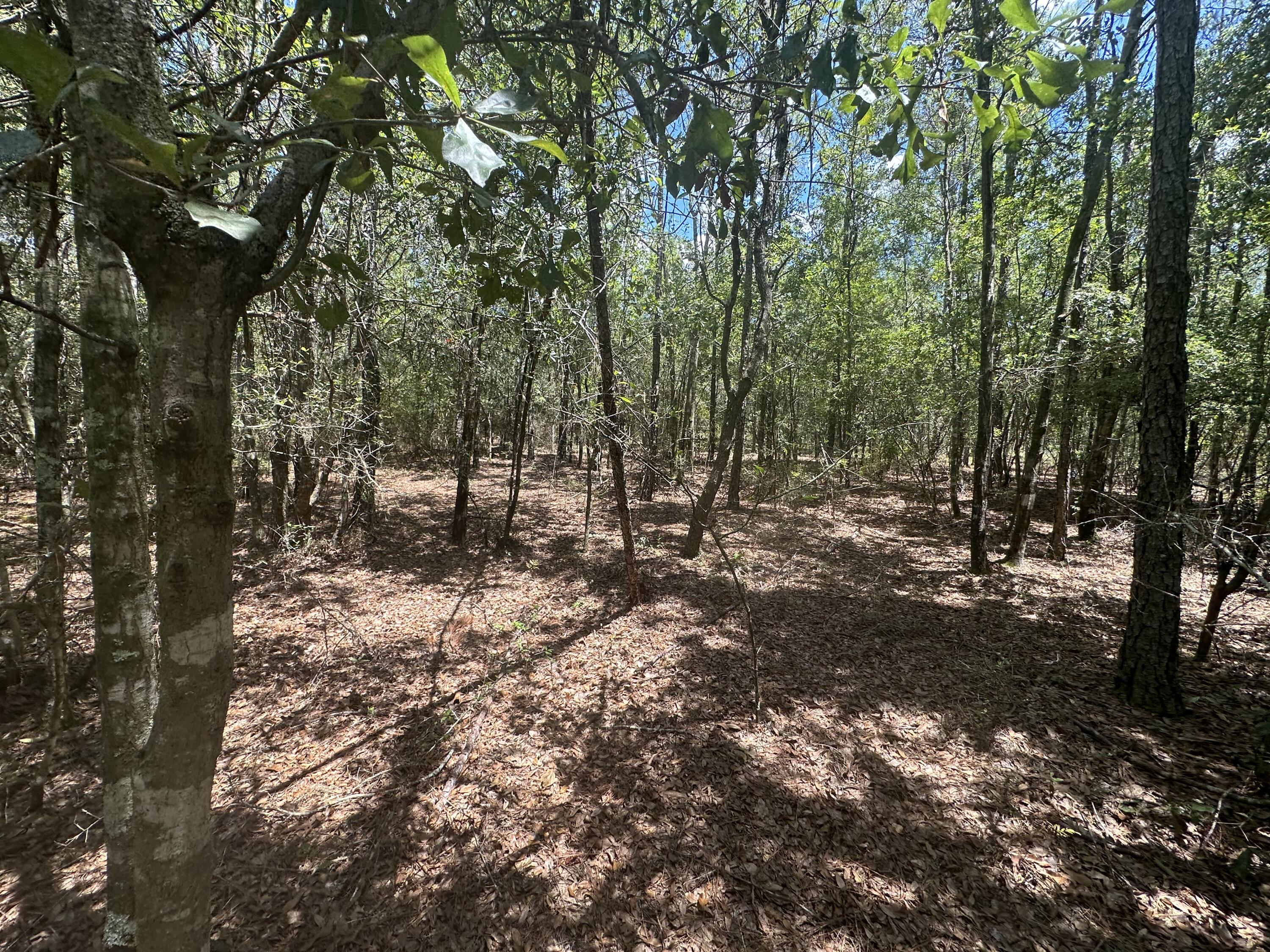 METES & BOUNDS - Land