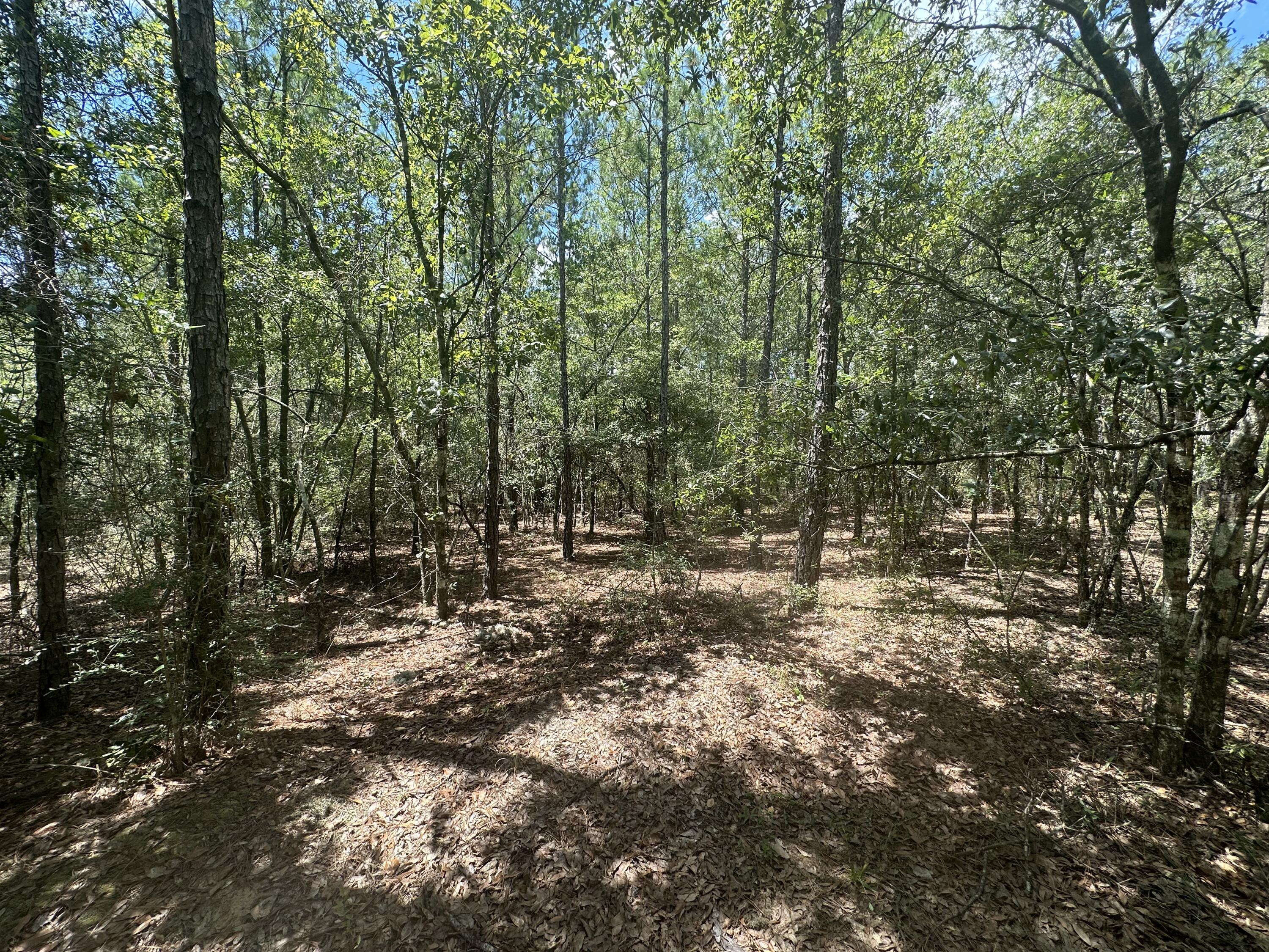 METES & BOUNDS - Land