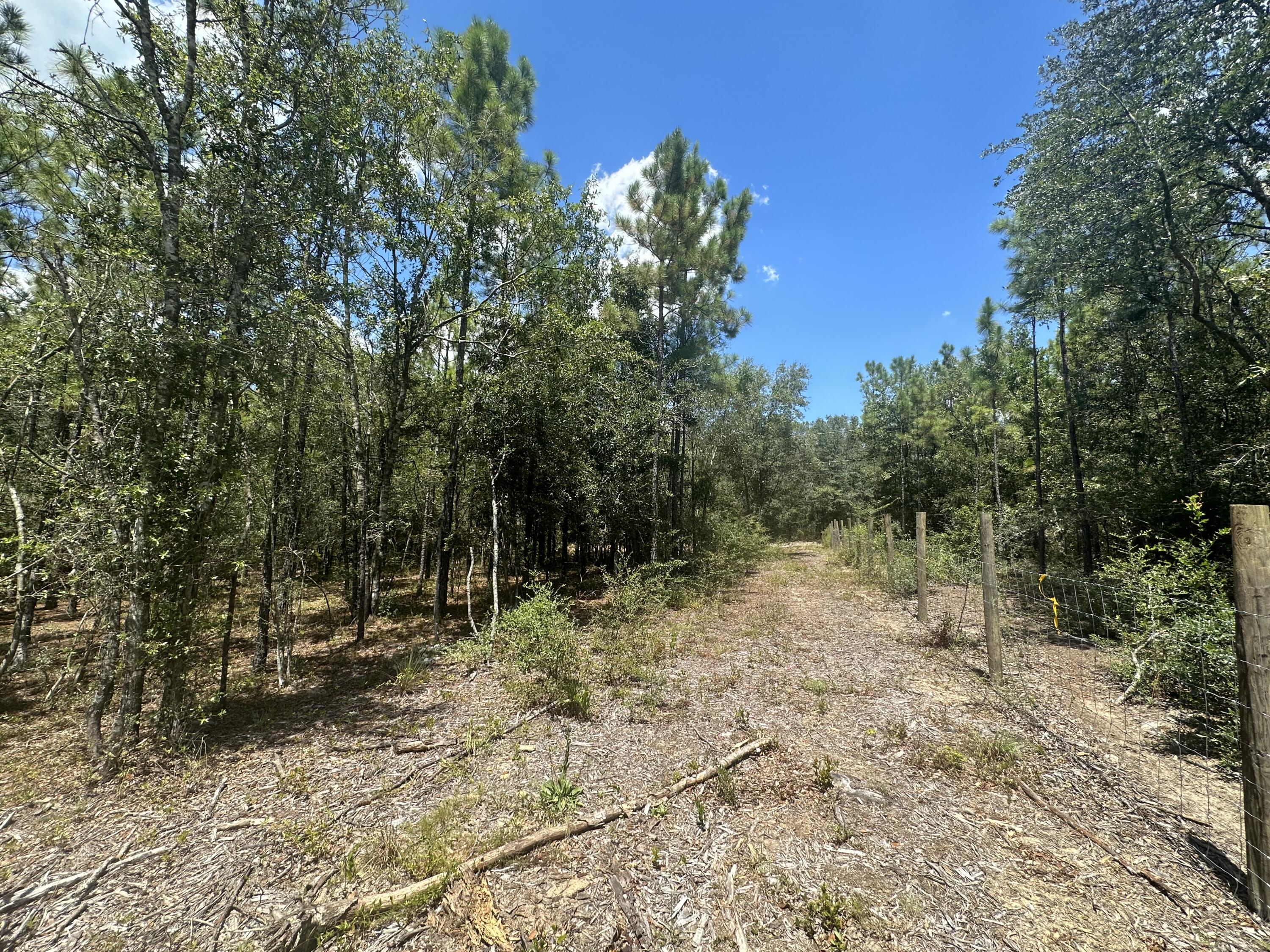 METES & BOUNDS - Land