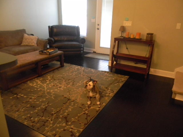 MAGNOLIA PARK PH 2 . - Residential