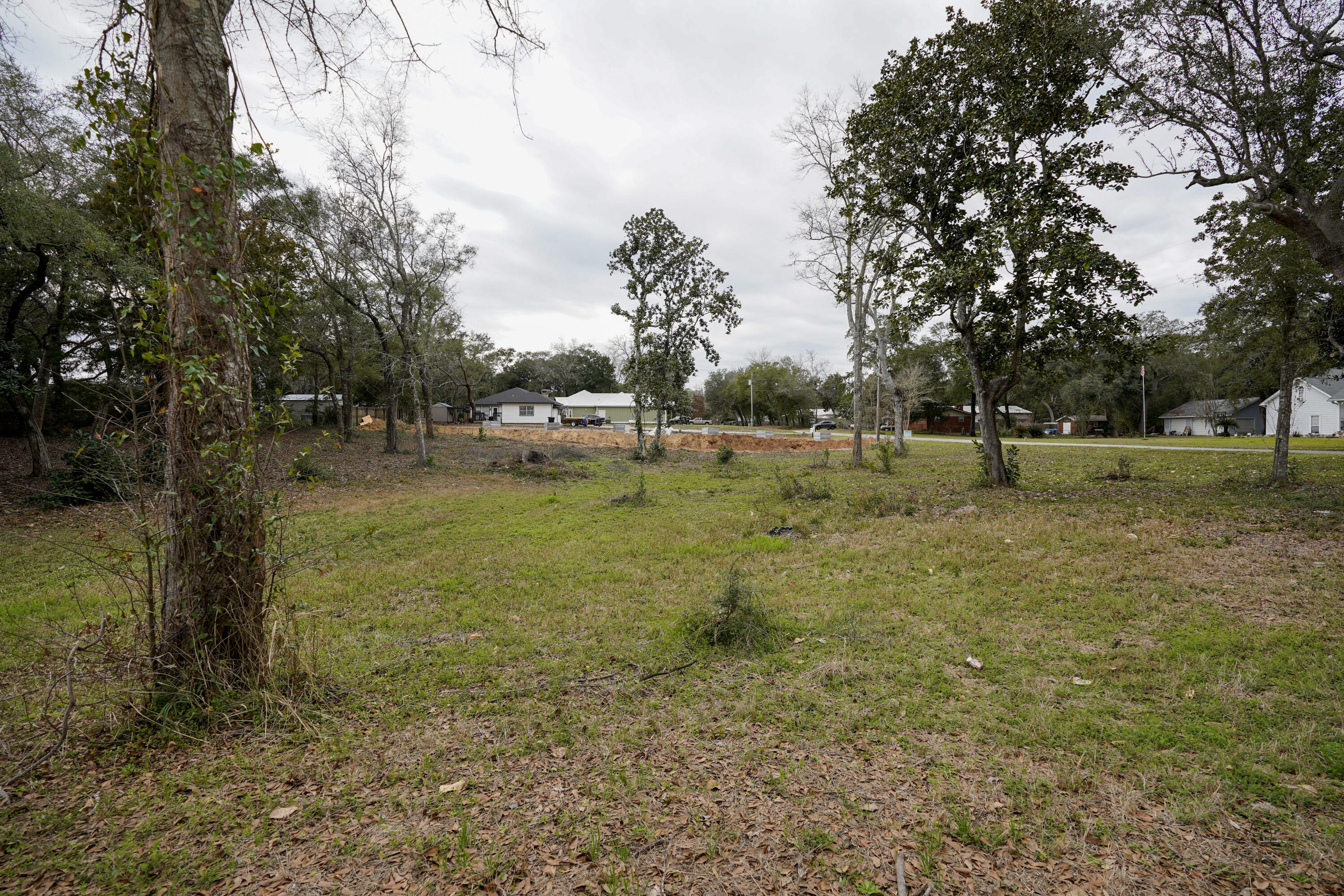 Chickasaw - Land