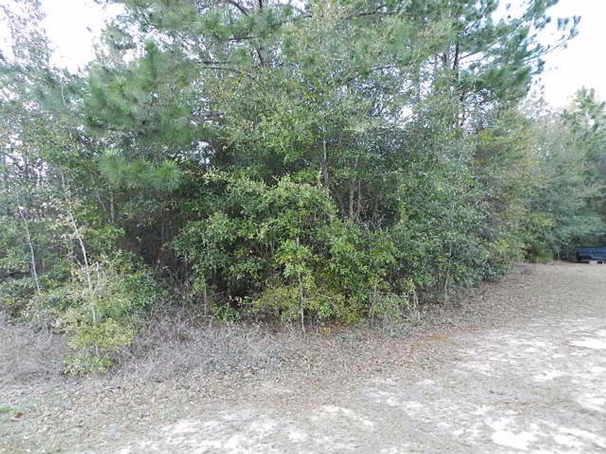Great Lot and location in the heart of Pace/Milton community of Santa Villa.Level lot with 2.21 Acres, free of HOA dues. Paved street, community services, centrally located for schools, medical, commerce, and only a short distance to Avalon Blvd and quick access into Pensacola and beaches. Perfect for building a home secluded and private while living in a subdivision, neighborhood park, established community. Public water and sewer with underground utilities. Wetlands studies were done with no wetlands. Survey is furnished.