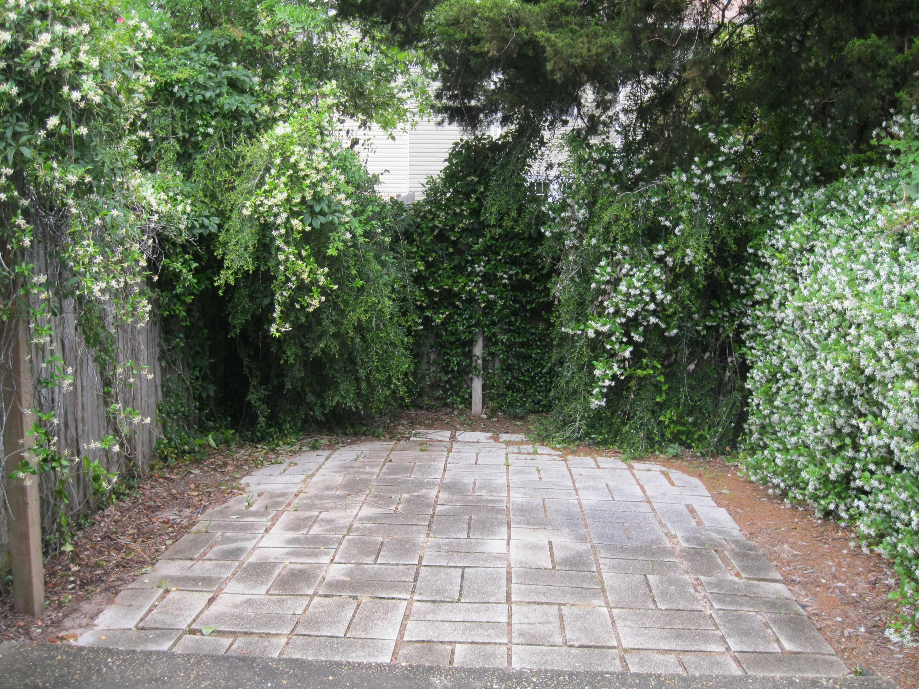 MONTAGE MANOR - Residential