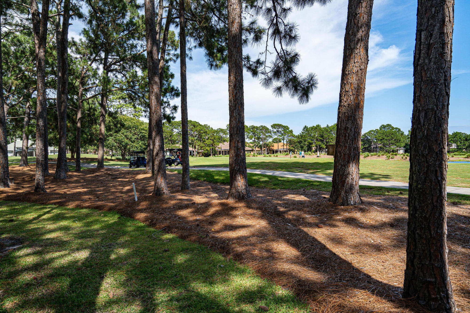 This unique jewel of a home, built by an Atlanta architect is nestled in the coveted section of Sandestin called Island Green. Enjoy breathtaking views of the 3rd hole of Raven Golf Course from the spacious patio. Approaching the home, you'll be impressed by the huge paver driveway leading to the front doors. Inside find a soothing color scheme to create a warm and inviting ambience. The stunning double sided fireplace is a focal point from the entry to the main living area. With plenty of storage throughout the home, you'll find ample space to keep your belongings organized. As a second home, this floor plan offers privacy for owners and guests. See this one today! Buyer to confirm all measurements.