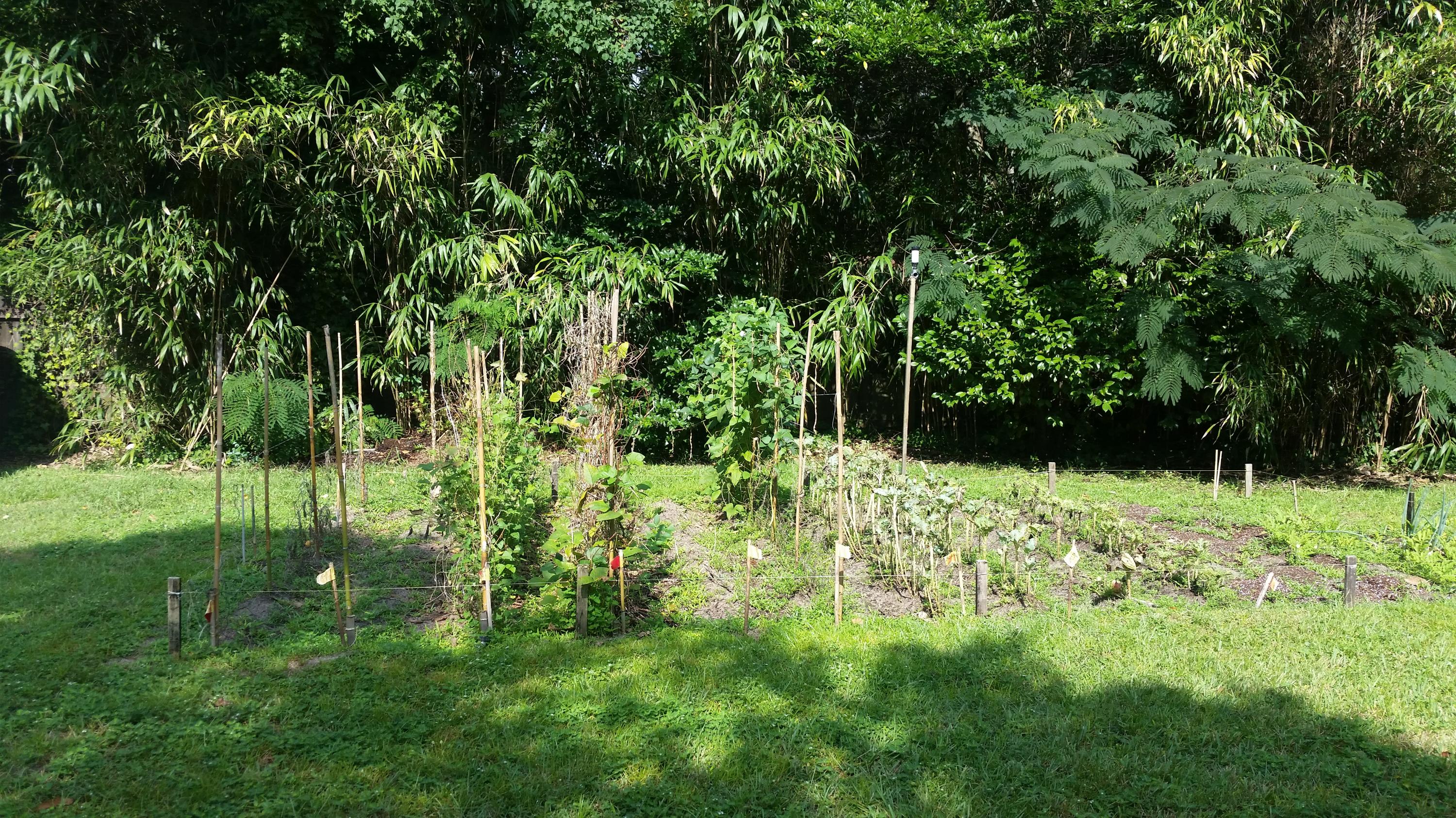 LONGWOOD S/D 1ST ADDN - Residential