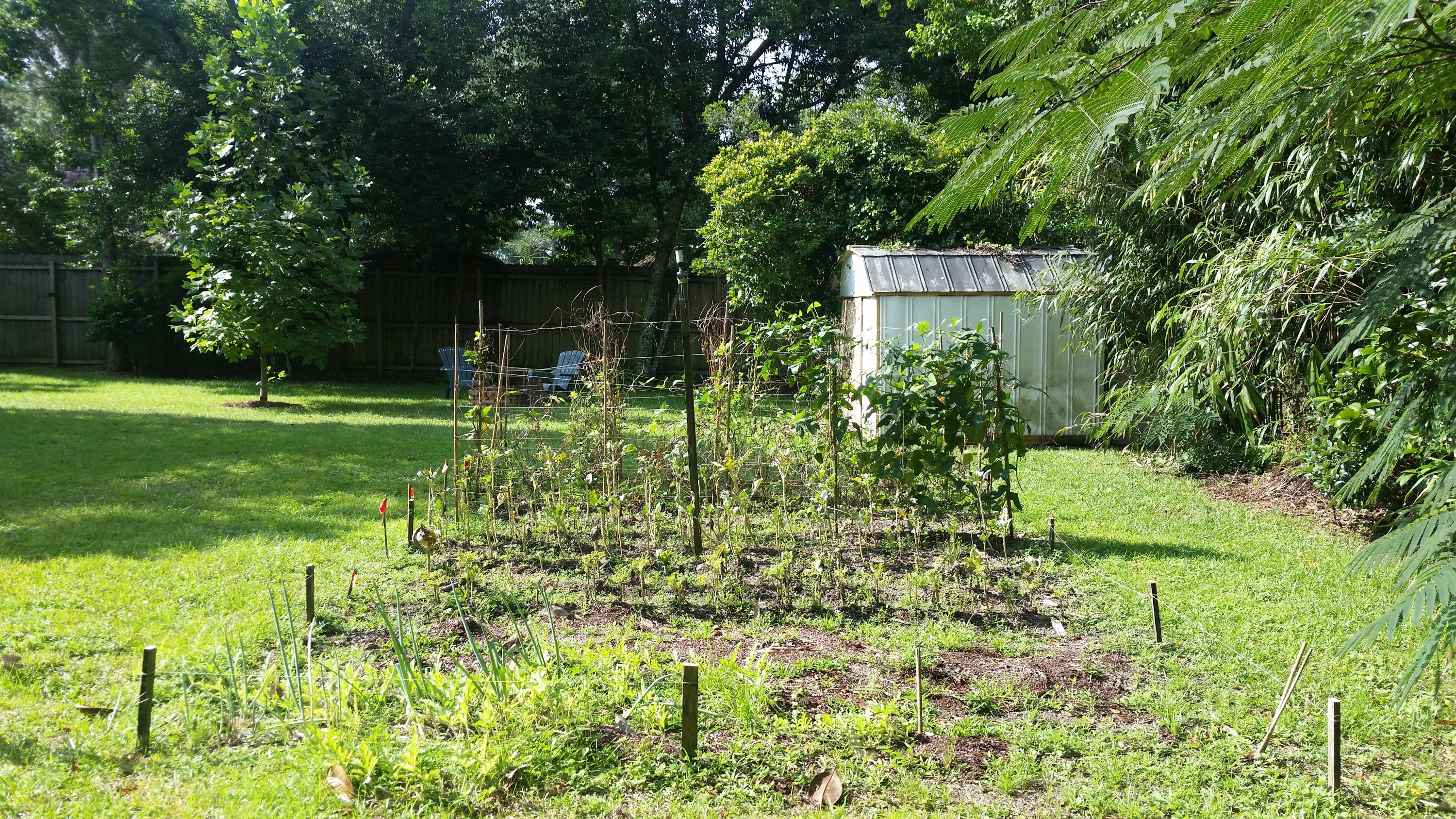 LONGWOOD S/D 1ST ADDN - Residential