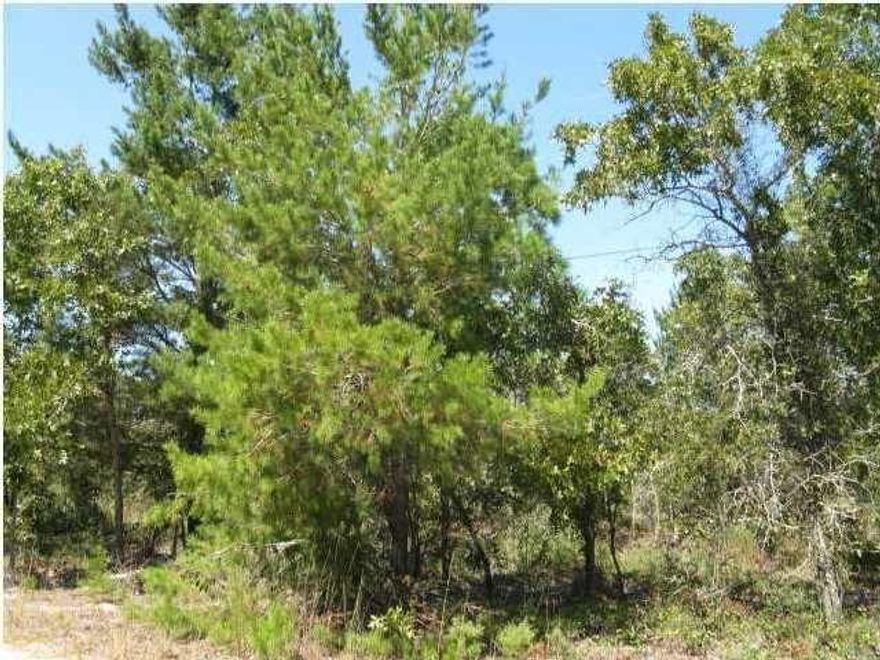 Check out this beautiful 1 acre lot north of Destin and Ft. Walton Beach and close to Eglin AFB, Niceville, DeFuniak Springs and Crestview. Mossy Head Water Department water available.  Survey available. Property is high and dry and located in FEMA zone ''X''. Great for a mobile home.