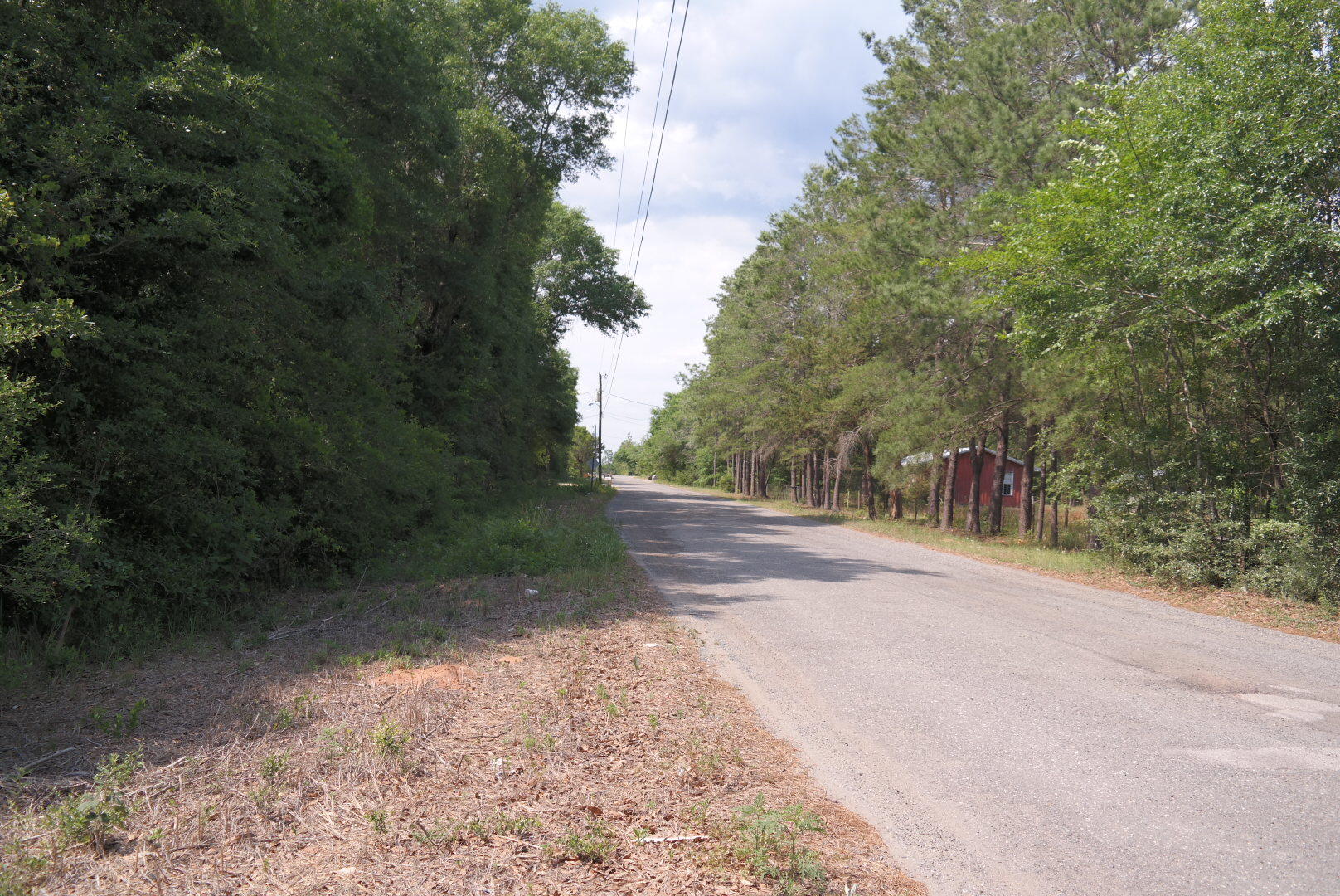 PLANTATIONS THE - Land