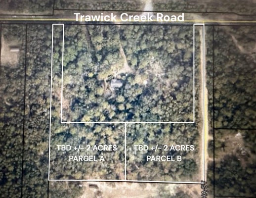 TRAWICK CREEK RD, HOLT, FL 32564 - Image f7ffbb0e27256f63bf9f0f97ebb782e7/3703540309