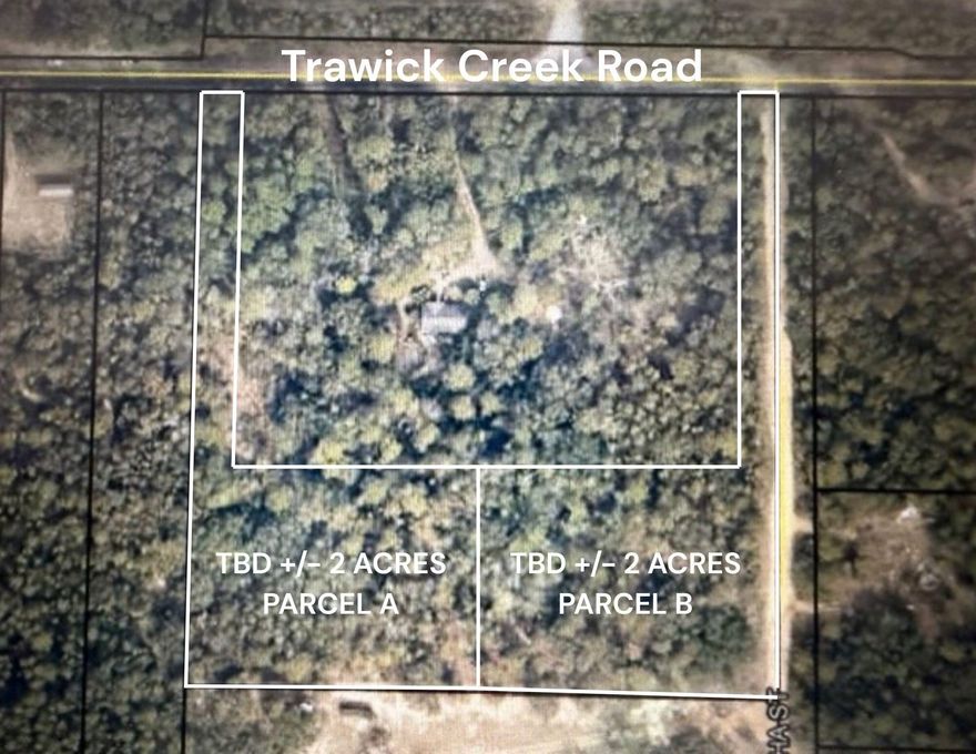BRING YOUR BUILDING PLANS! PARCEL B +/- 2 Acres Trawick Creek Road in Holt, Florida! A 30 foot easement will guide you back to your very own private lot with mature trees. Bring your home plans to build your DREAM HOME. Lot is located off of a paved road that is conveniently located close to I-10!!! Don't let your opportunity to own this amazing lot slip away. Schedule your showing today!