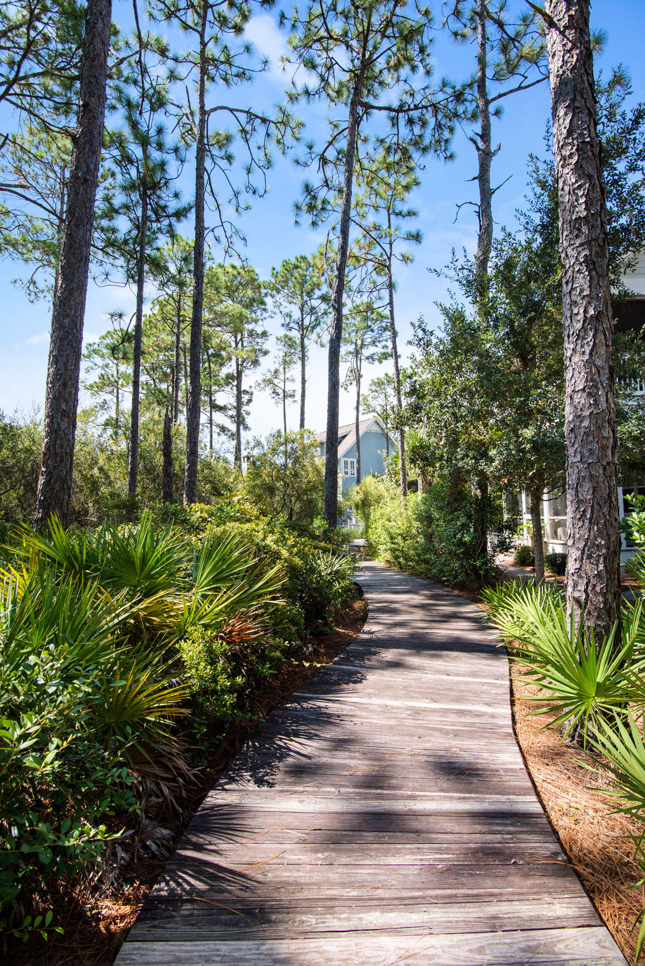 Watersound West Beach - Residential