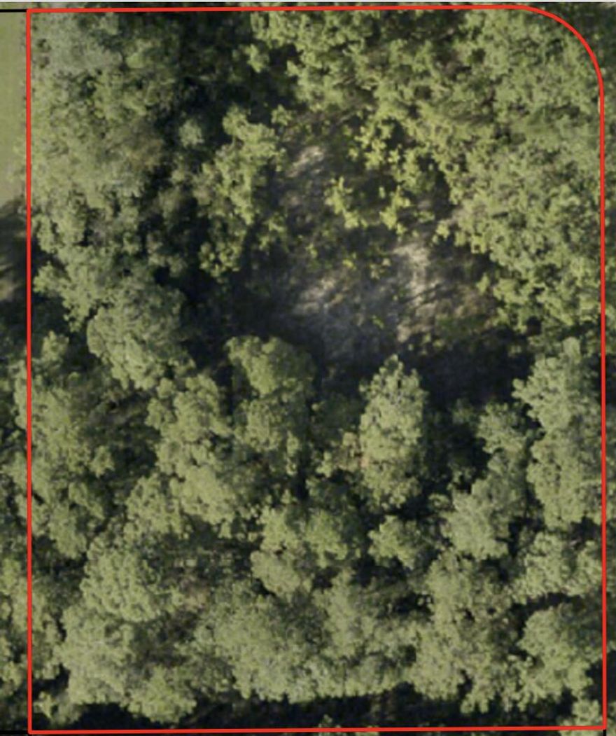 For comp purposes only