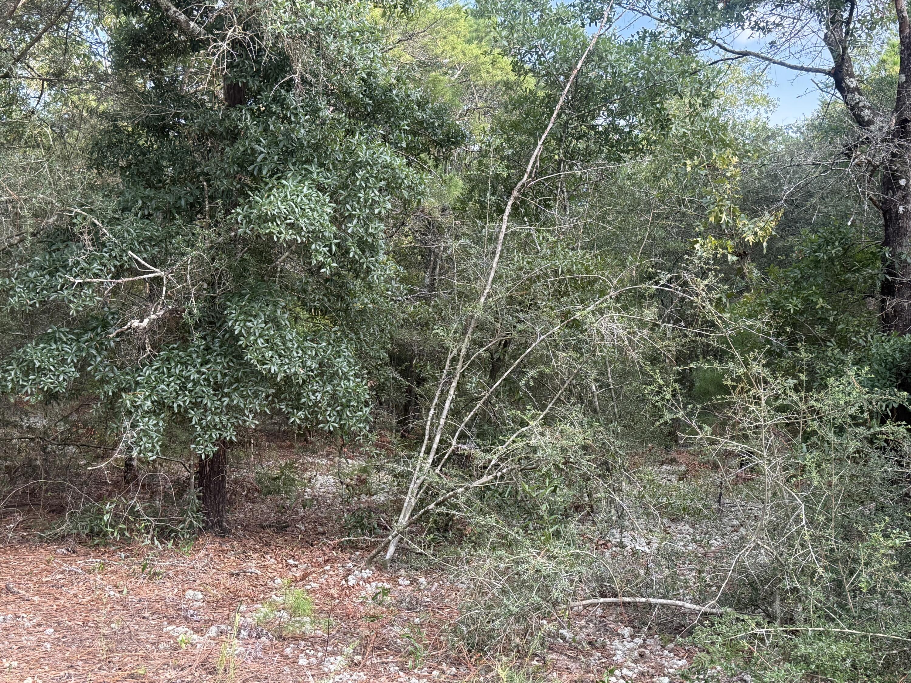 OAKWOOD HILLS UNIT 5 - Land