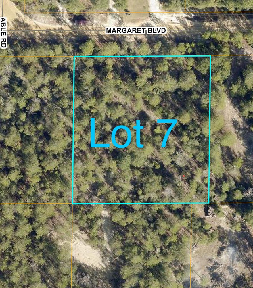 Nearly 1-acre wooded lot in Mossy Head. Lot 7  is ideal for a site built or manufactured home. Located on peaceful Margaret Blvd with electricity and public water available at the road. Enjoy privacy and nature while being just 15 minutes from local shopping and dining, and 30 to 45 minutes from surrounding cities. The adjacent 0.98-acre lot is also for sale purchase one or both for added space and opportunity. Great investment in a growing area