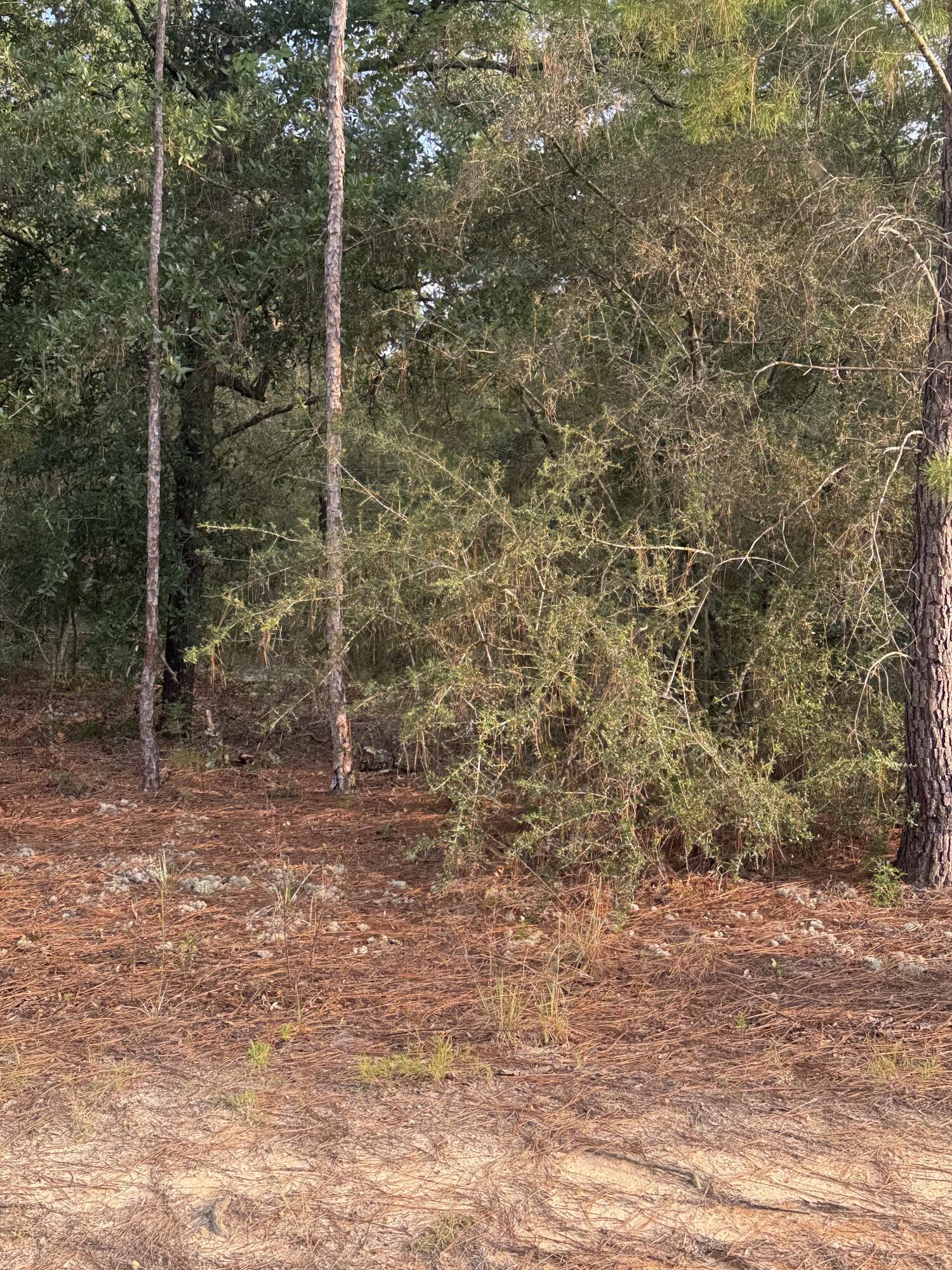 OAKWOOD HILLS UNIT 5 - Land