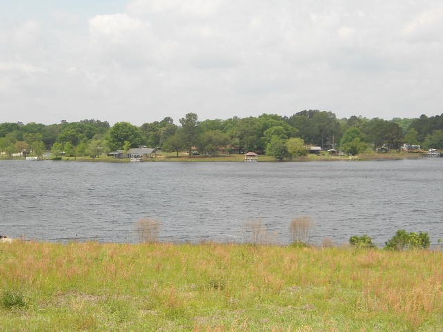 Beautiful Waterfront lot on Kings Lake! This small area is a testament to itself as far as clean and neat. There is a lot of pride in ownership in this cozy waterfront setting. City water is available. Lot is located on a paved street. Kings Lake is a 500+ acre fishing lake with prize winning bass, bream, and catfish and more! Click on documents to see survey and other information.