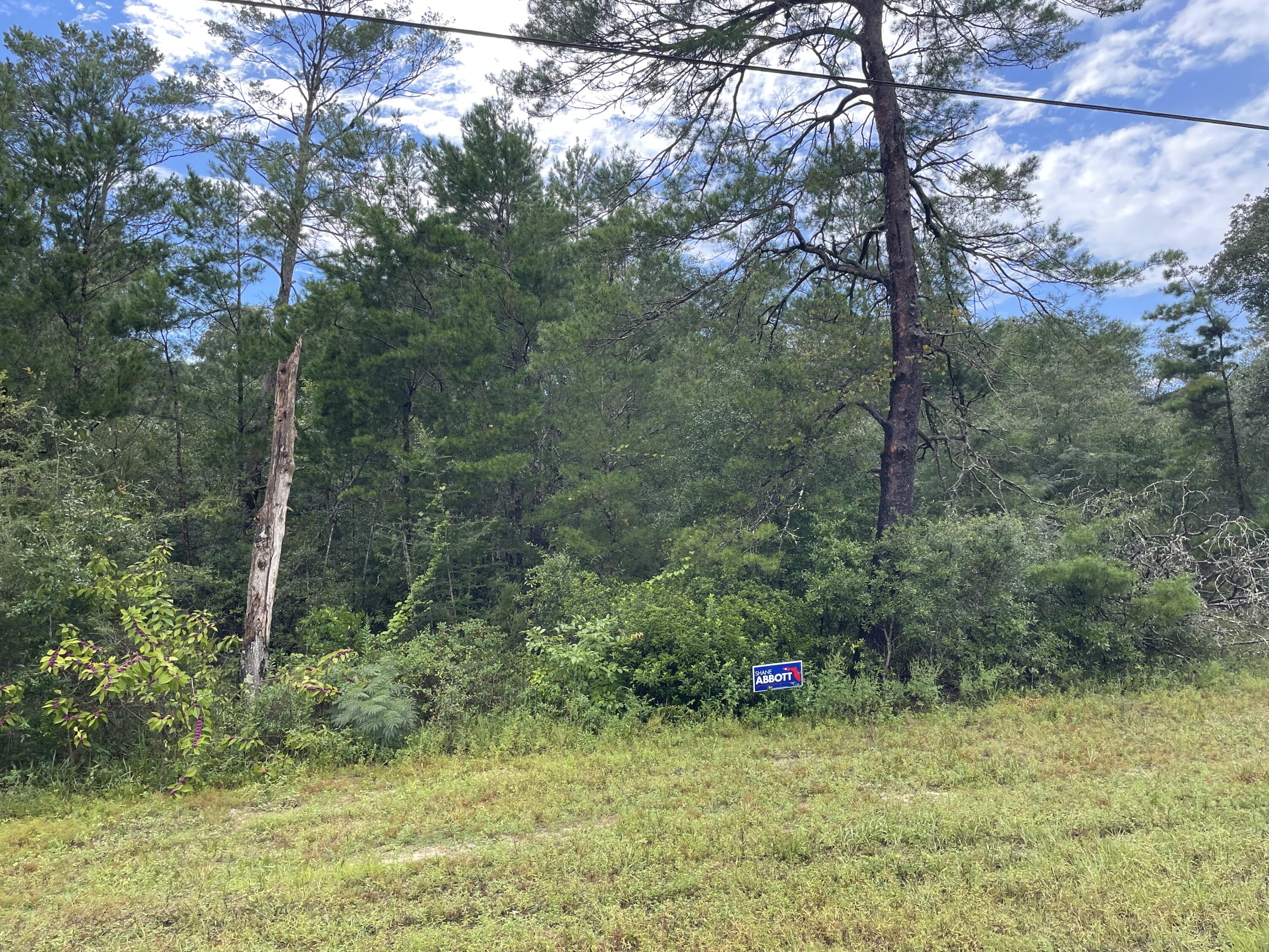 Bring your home plans to the country! Lot is just off highway 90, giving convenient access to the I-10 connection, or straight shot to Crestview or DeFuniak Springs. Has been a home site in the past, and ready to become a new family's home site!