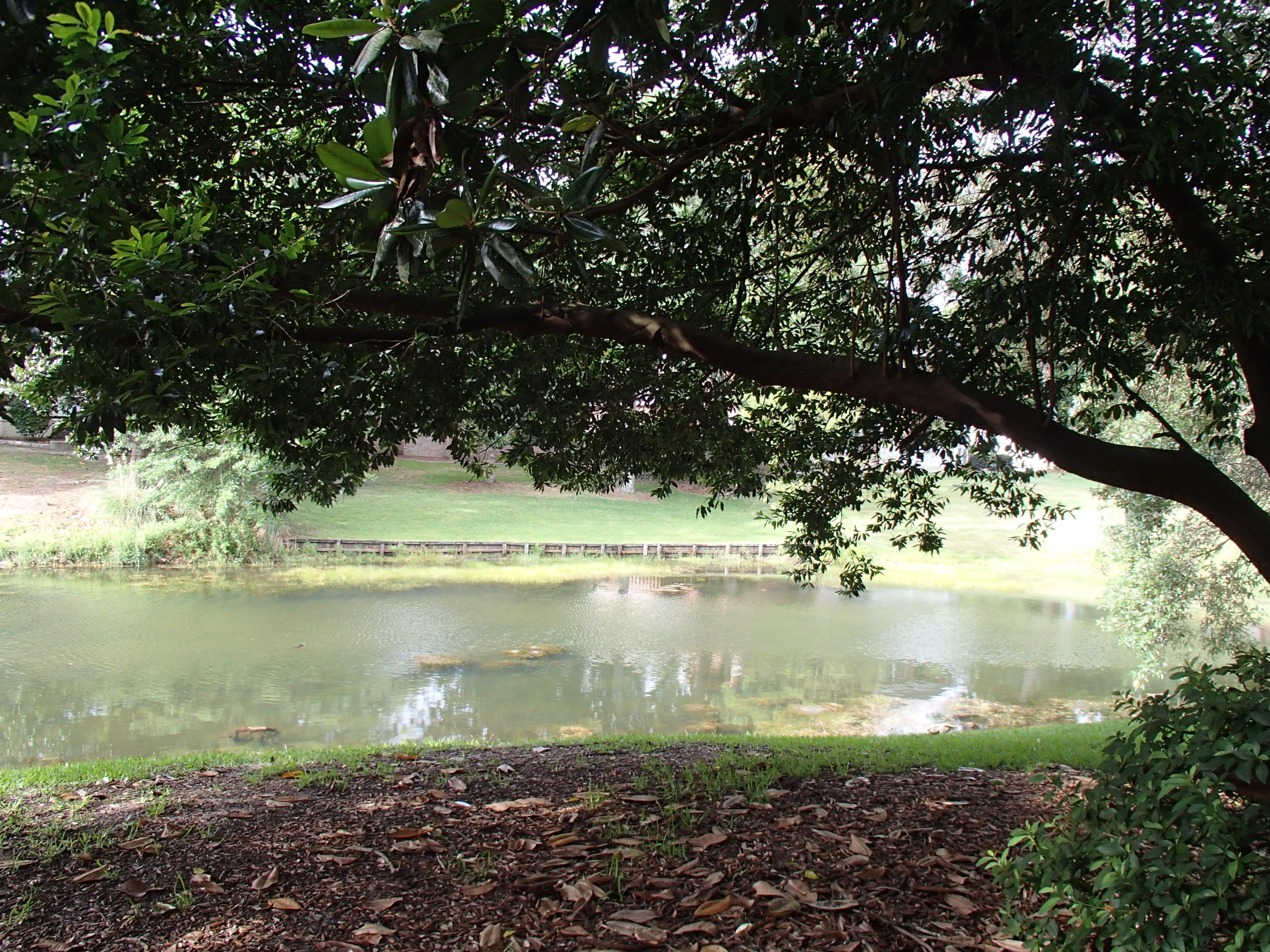 LAKESIDE CONDO AT BLUEWATER BAY - Residential