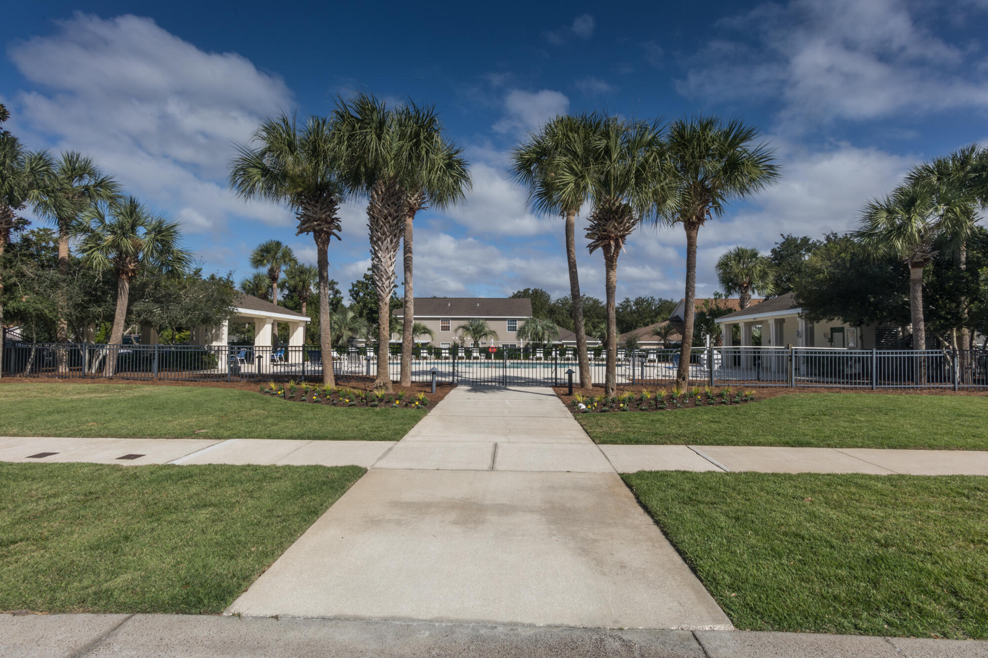palmetto rrace phase 1 - Residential