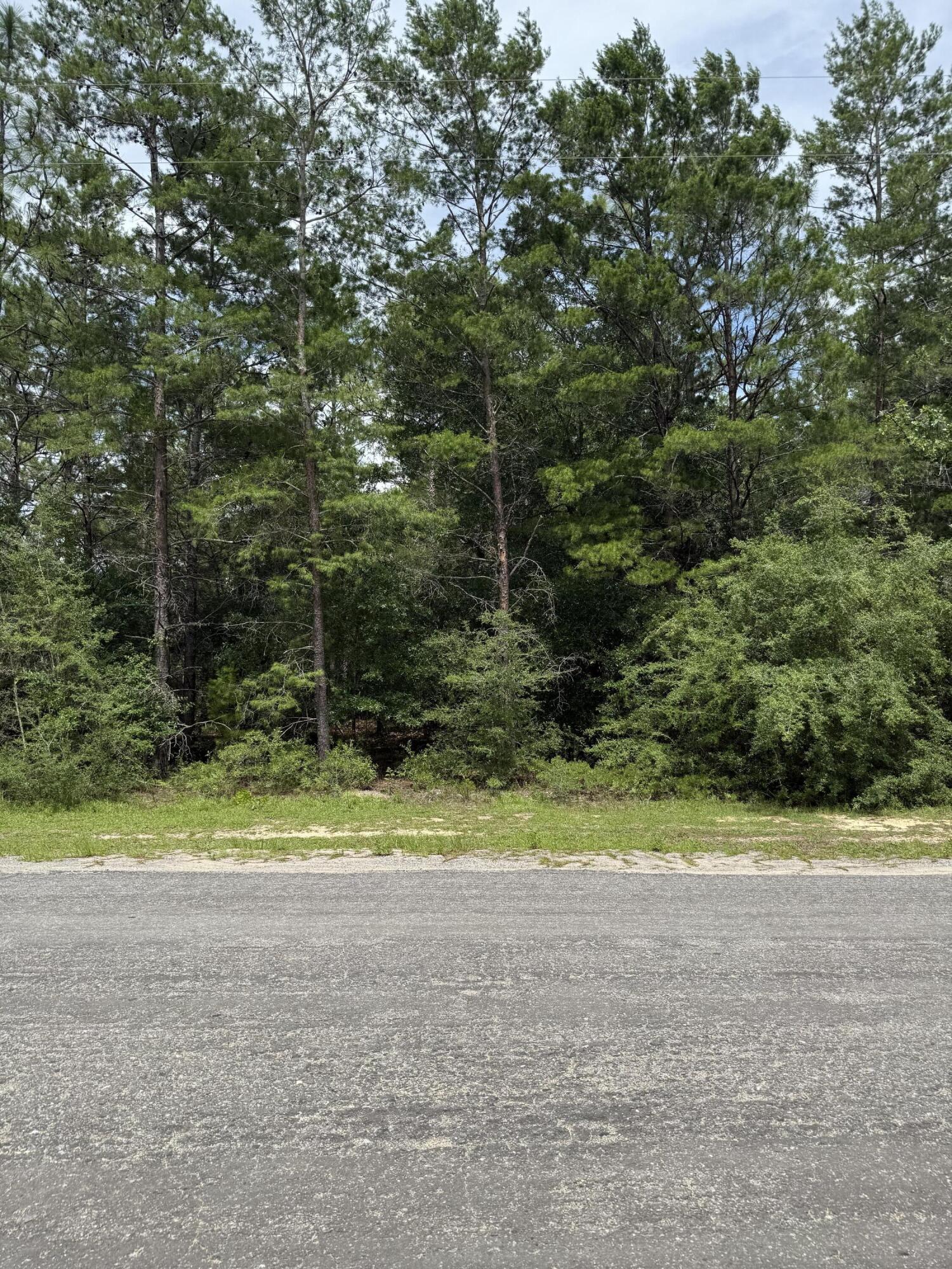 Wooded level lots on Watson Rd. First 4 lots are accessible from milled asphalt rd but other 6 lots are not consecutive and not accessible from road by vehicle. Will require all utilities. Listing includes Parcel ID: 18-3N-20-28100-007-0010 and 18-3N-20-28100-007-0070