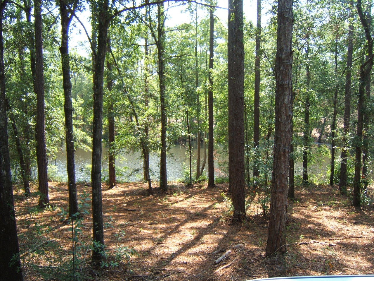 ARBOR LAKE - Residential