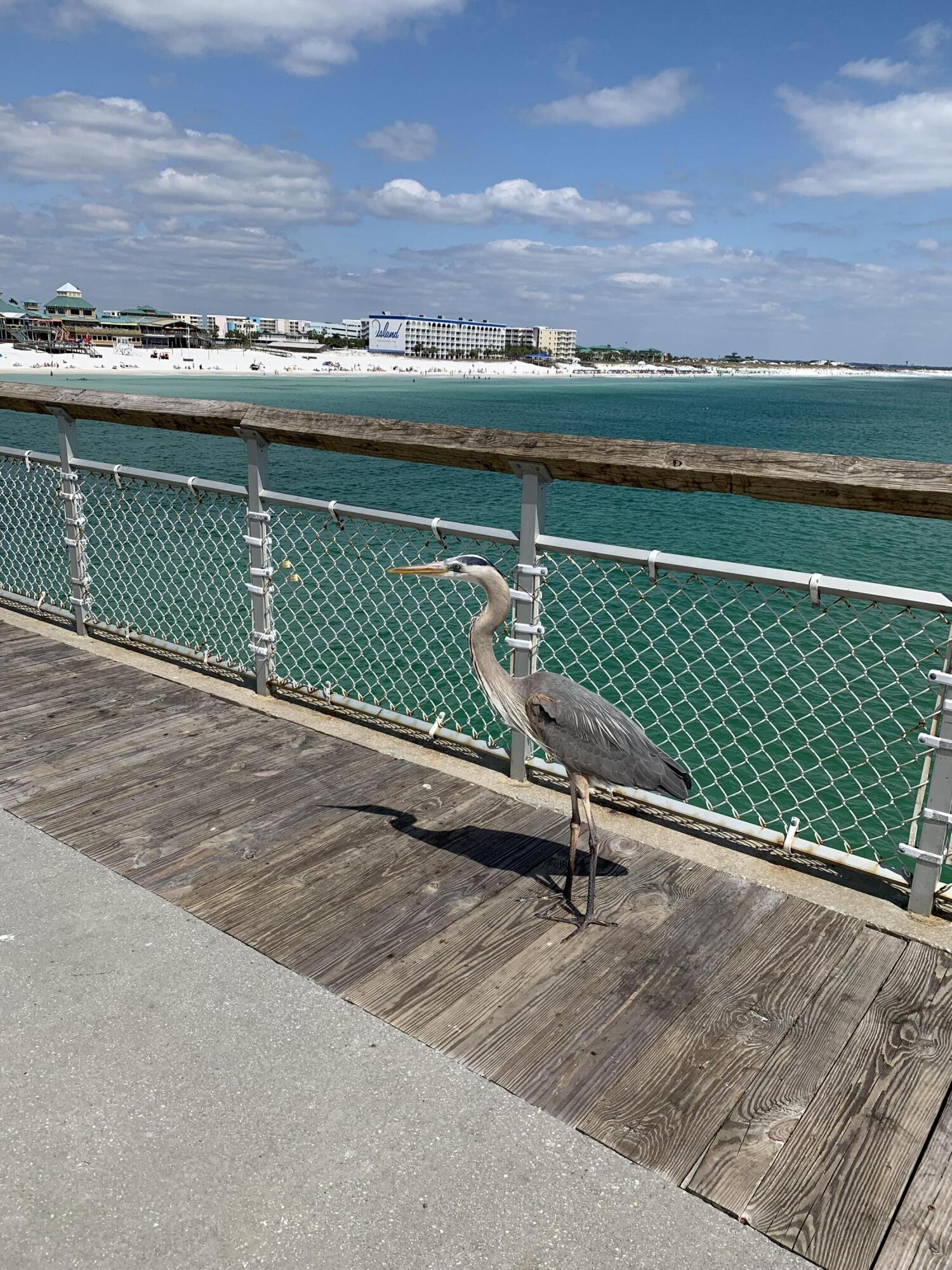 CHATEAU BY THE SEA - Residential