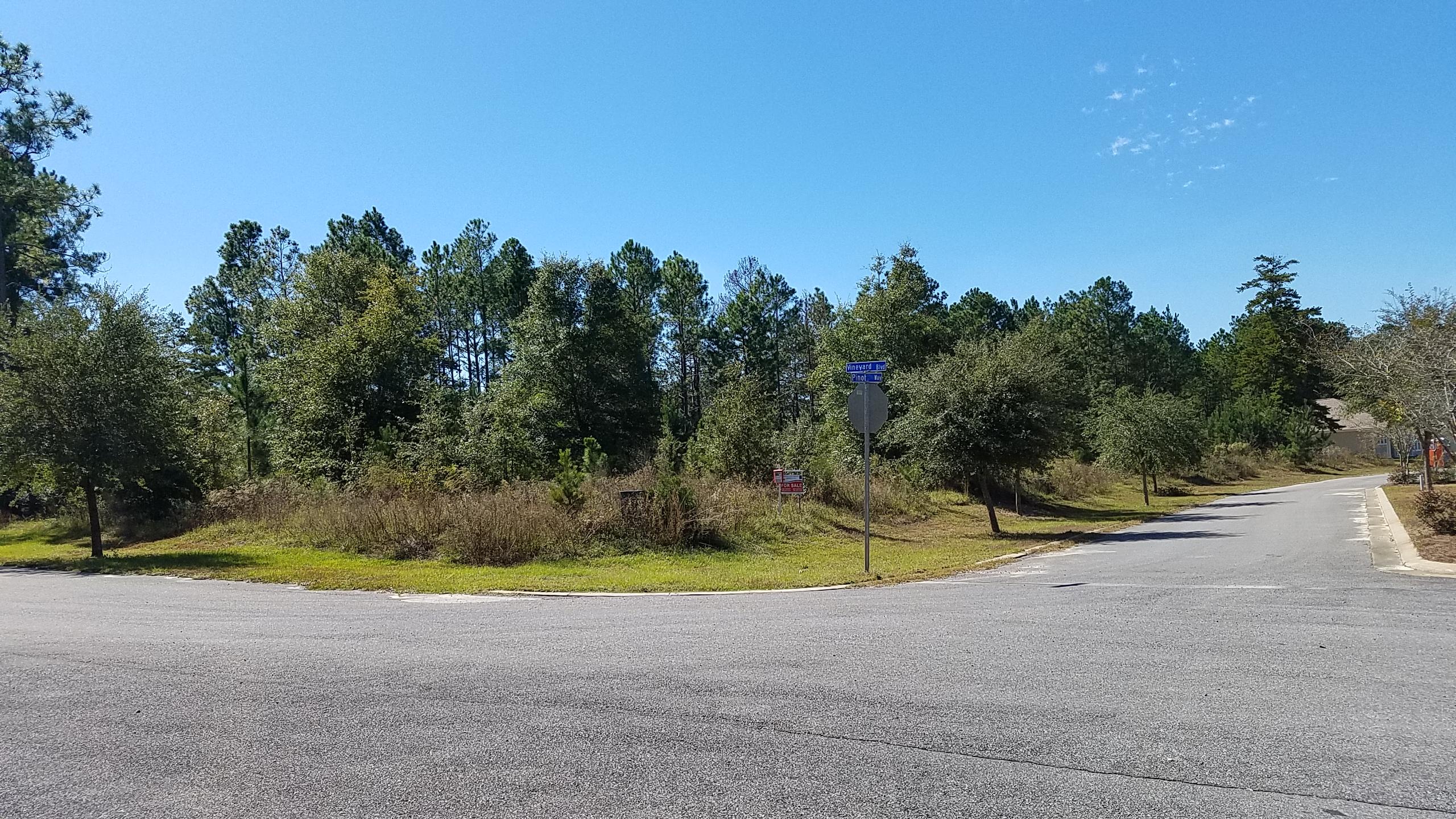 MAJESTIC OAKS VINEYARD - Land