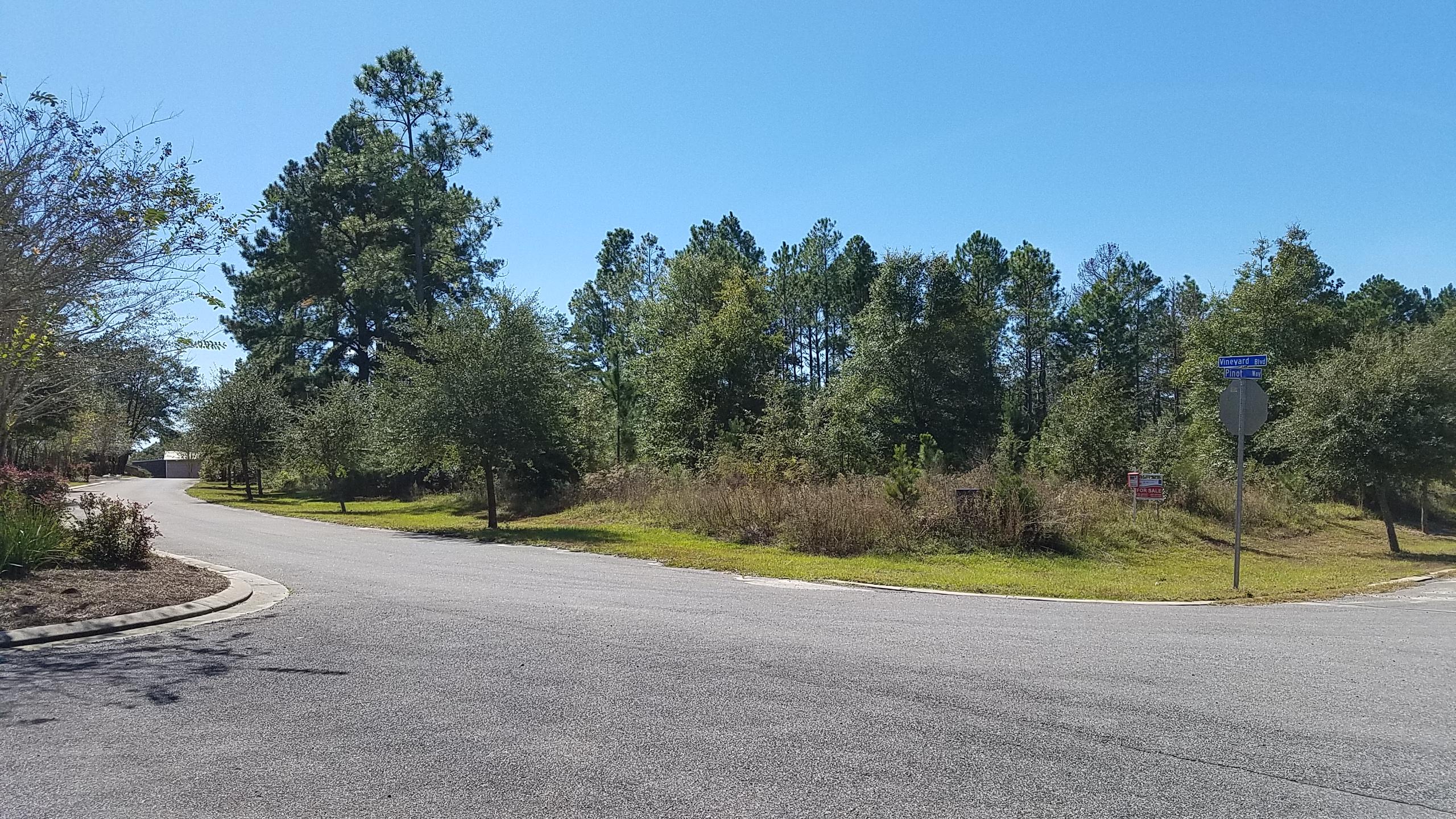 MAJESTIC OAKS VINEYARD - Land