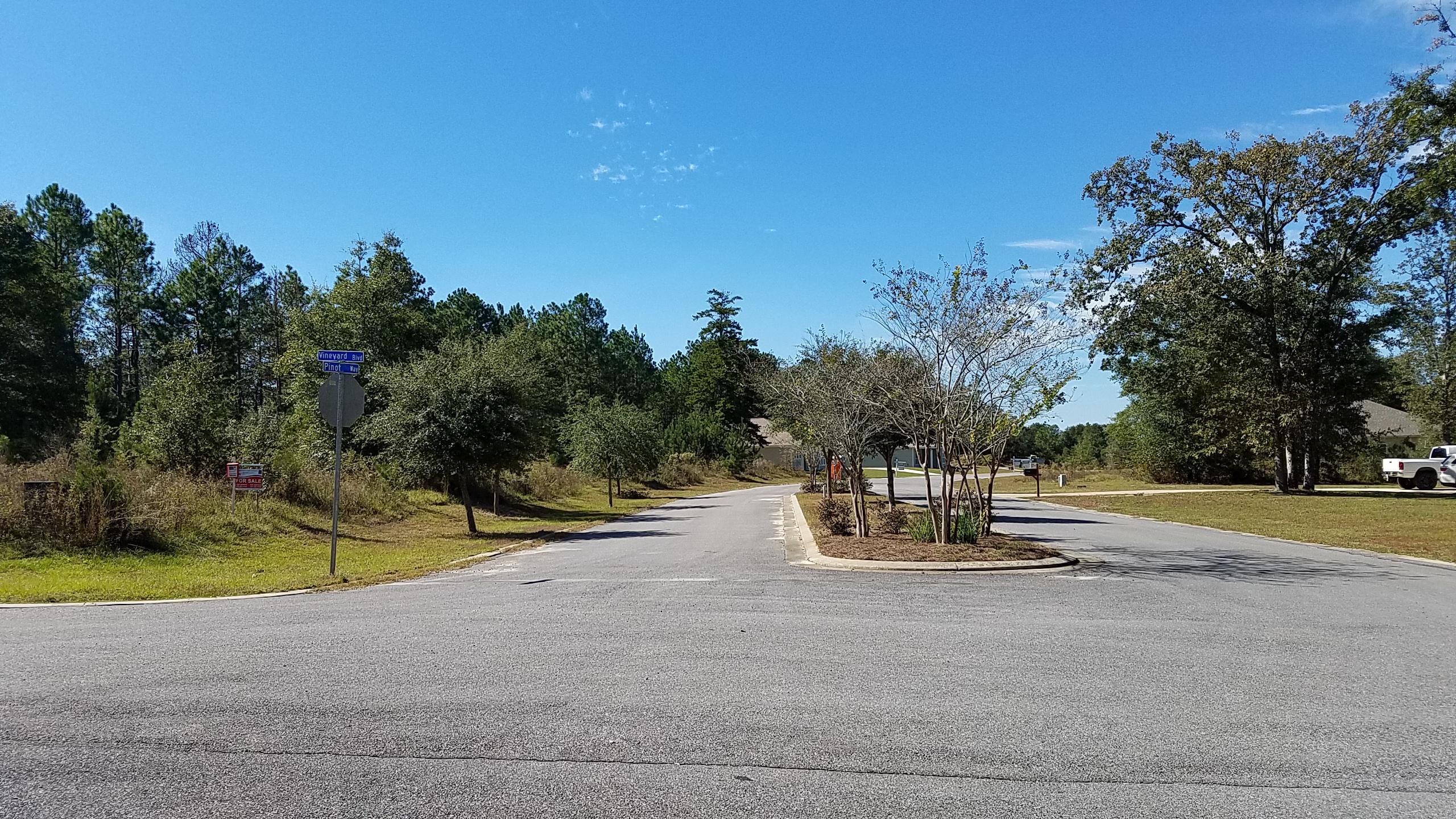 MAJESTIC OAKS VINEYARD - Land