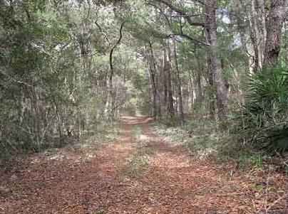 DEER MOSS CREEK PHASE 1 - Residential