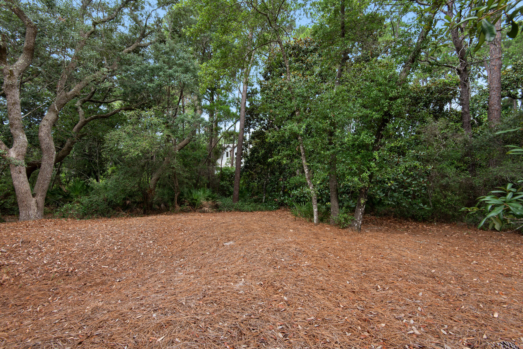 FOREST LAKES PH I - Residential