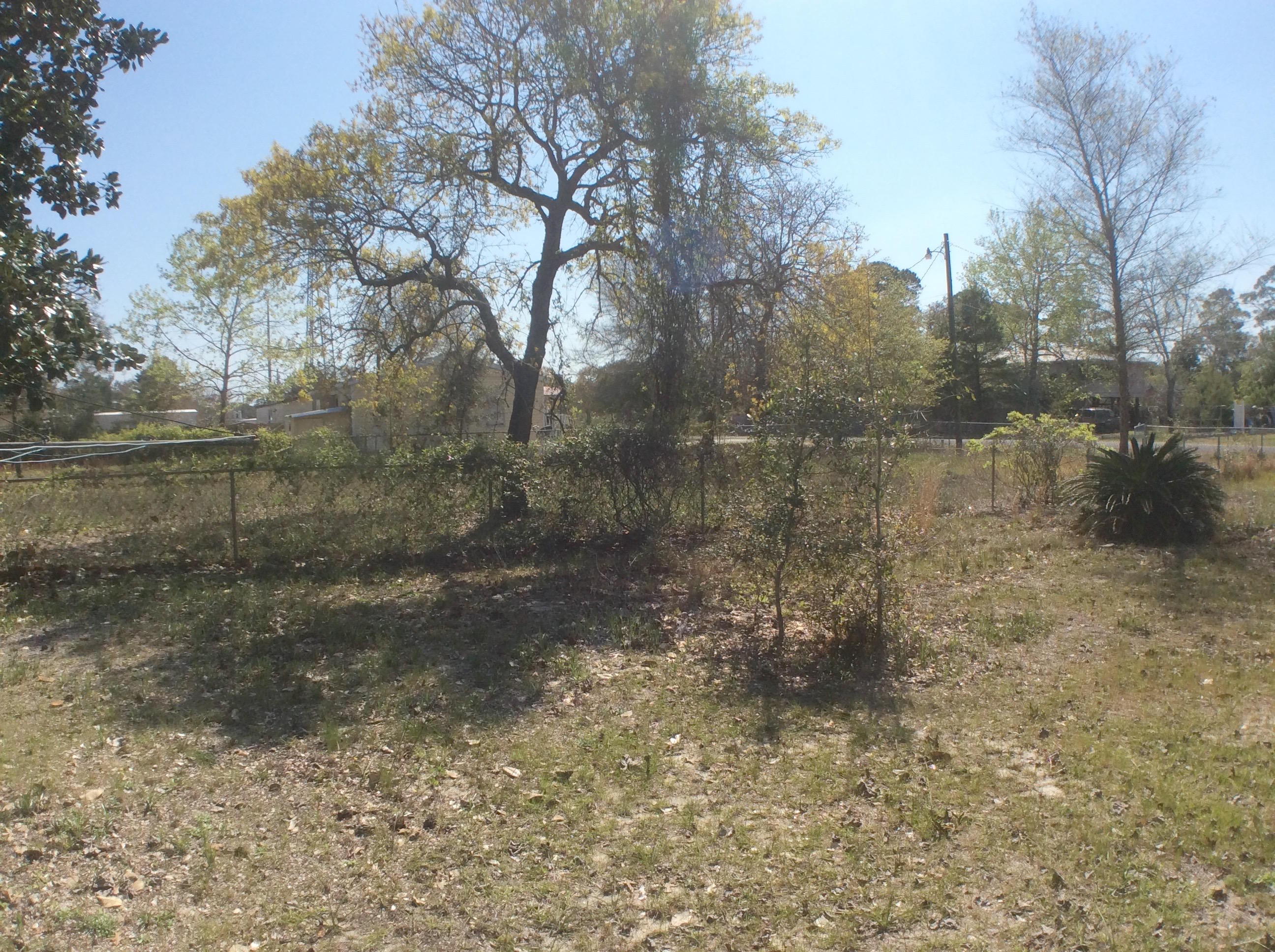 WYNNEHAVEN BEACH ESTATES - Residential