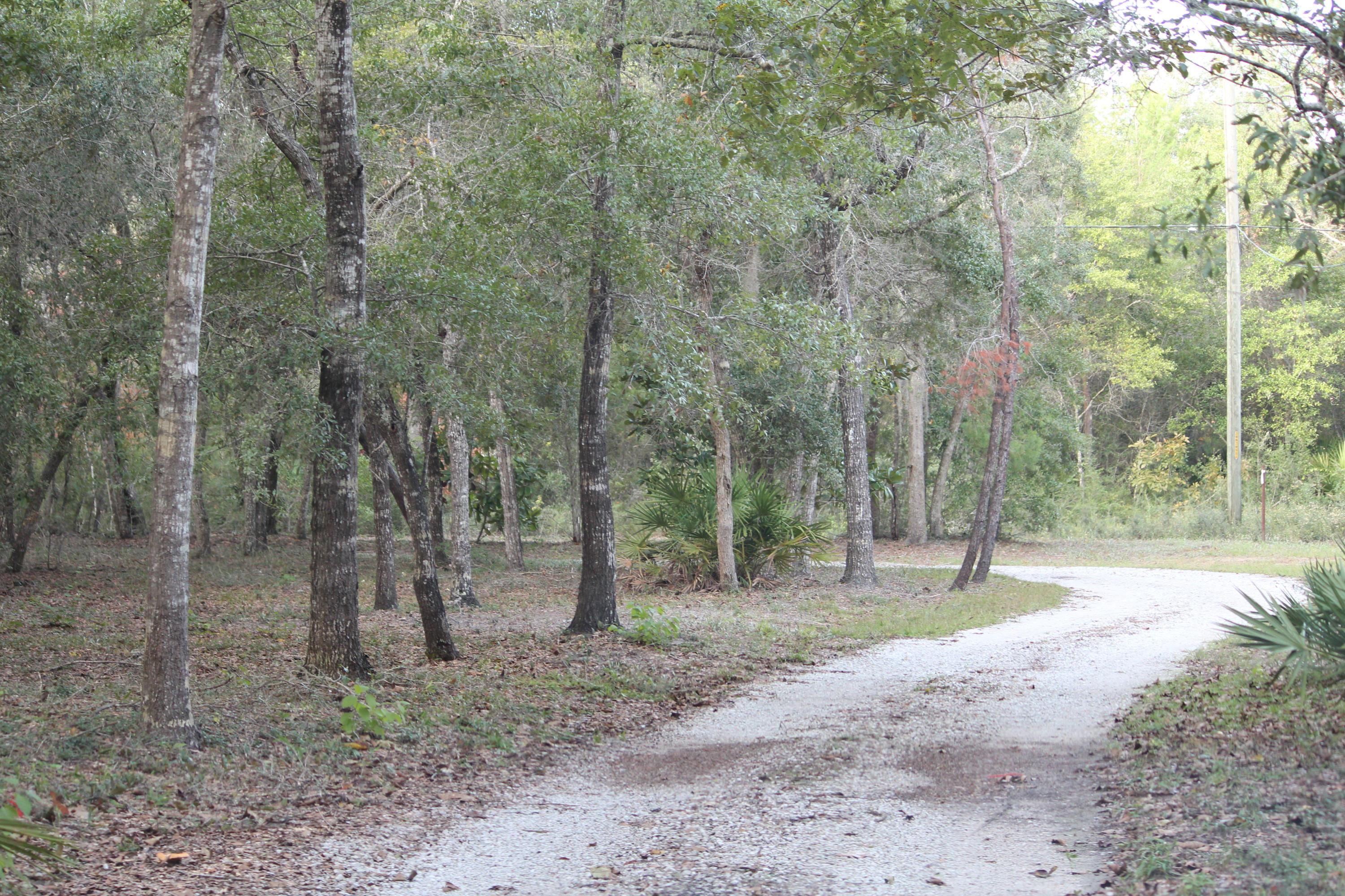 LAKE PIPPIN - Residential